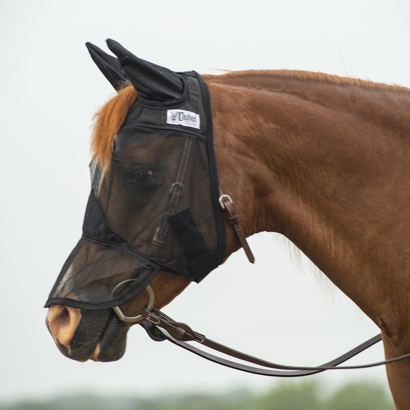 Cashel Crusader Quiet Ride Fly Mask