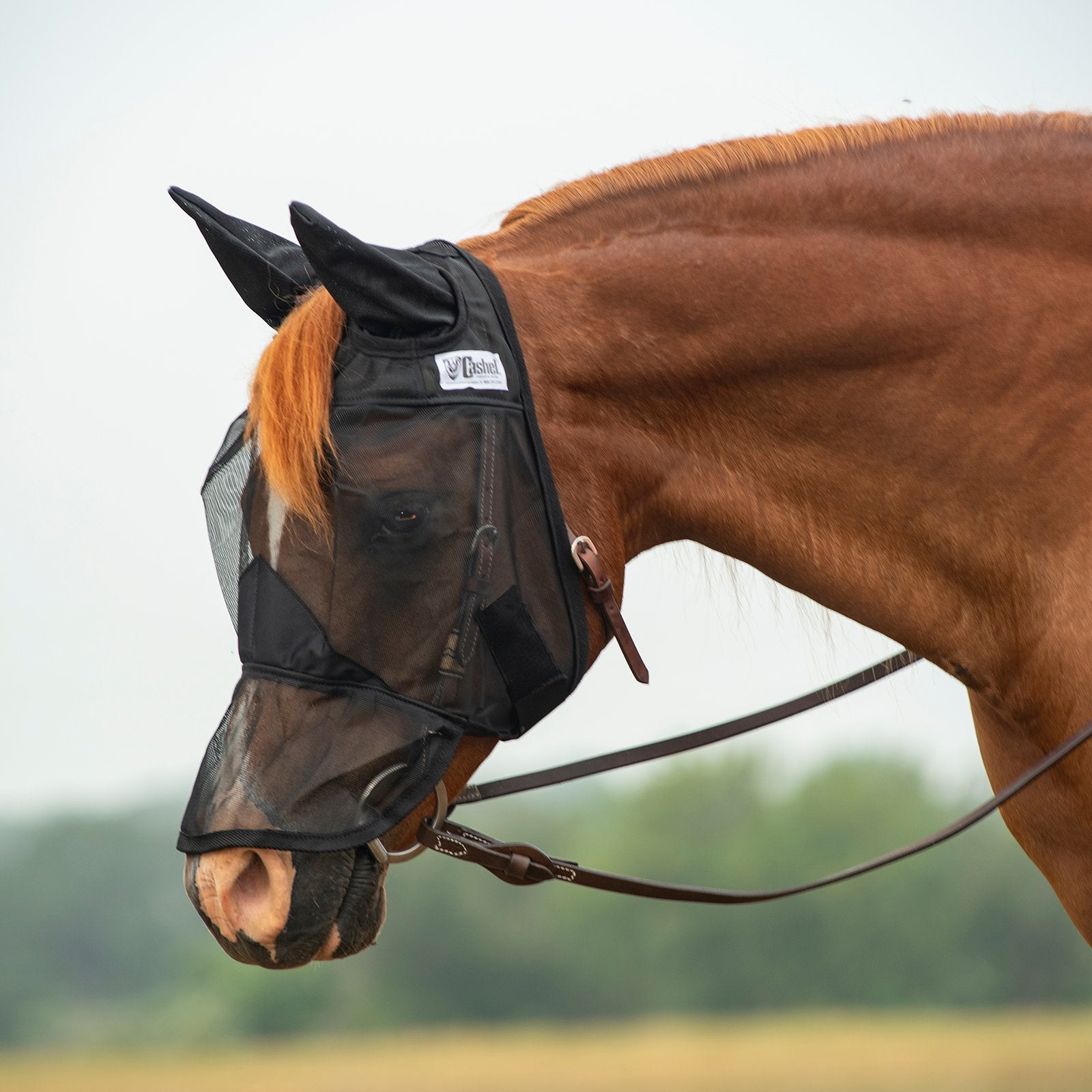 Cashel Crusader Quiet Ride Fly Mask