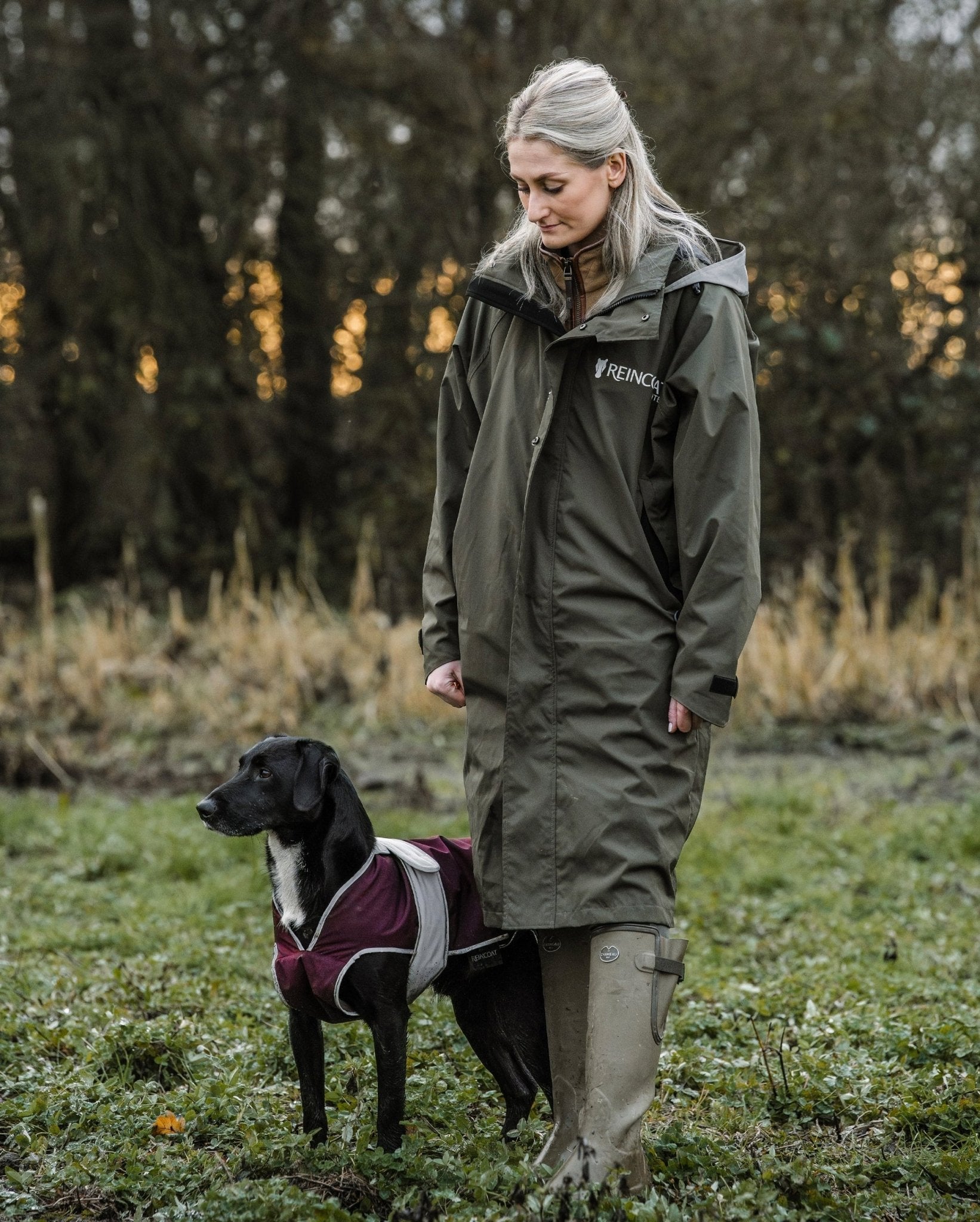 Waterproof Burgundy Dog Coat by Reincoat on Equiflair - Woman and Dog in Field