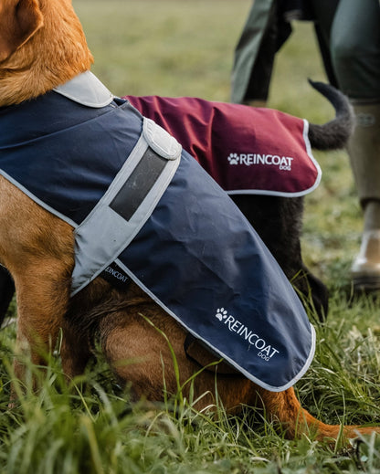 Reincoat Waterproof Dog Coat - Burgundy/Navy - Equiflair - Reflective, Weather Protection, Dog apparel