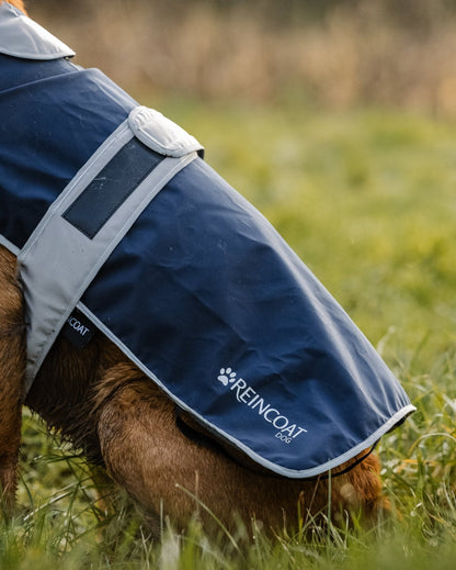 Navy Waterproof Dog Coat | Reincoat Dog Apparel with Reflective Trim | Equiflair