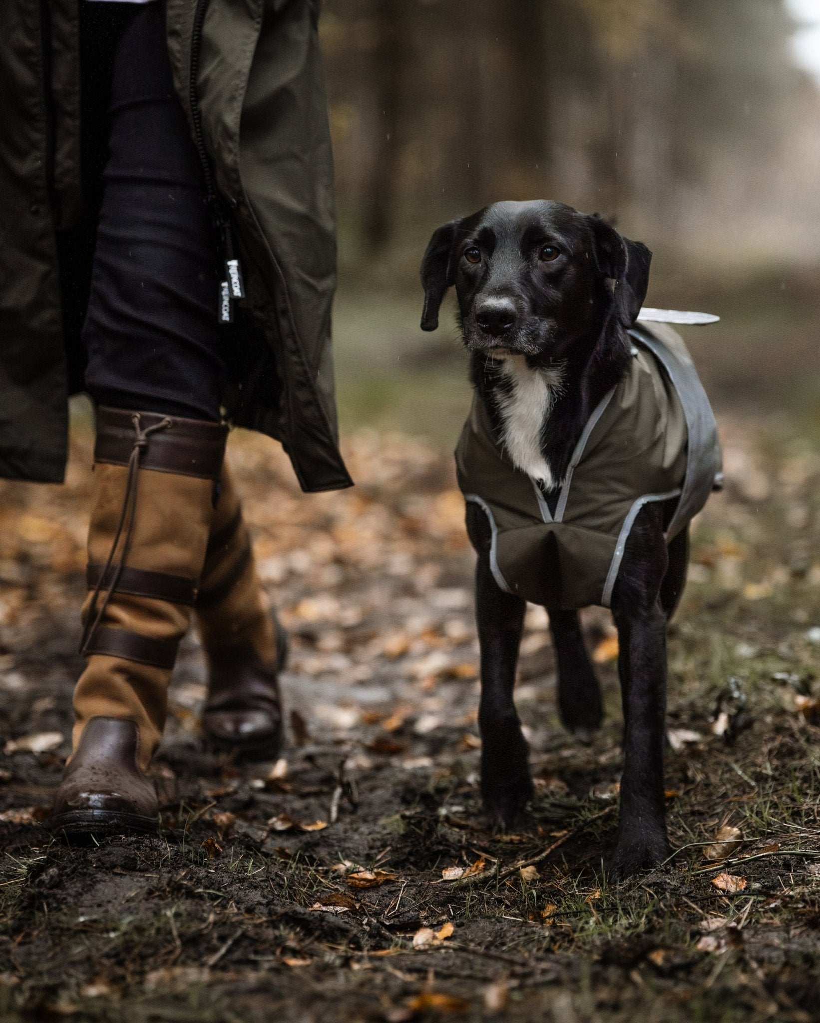 Reincoat Waterproof Dog Coat - Olive Green: Outdoor Walking in Wet Weather