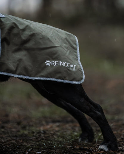 REINCOAT Dog Raincoat - Olive, Waterproof Dog Coat from Equiflair, Reflective