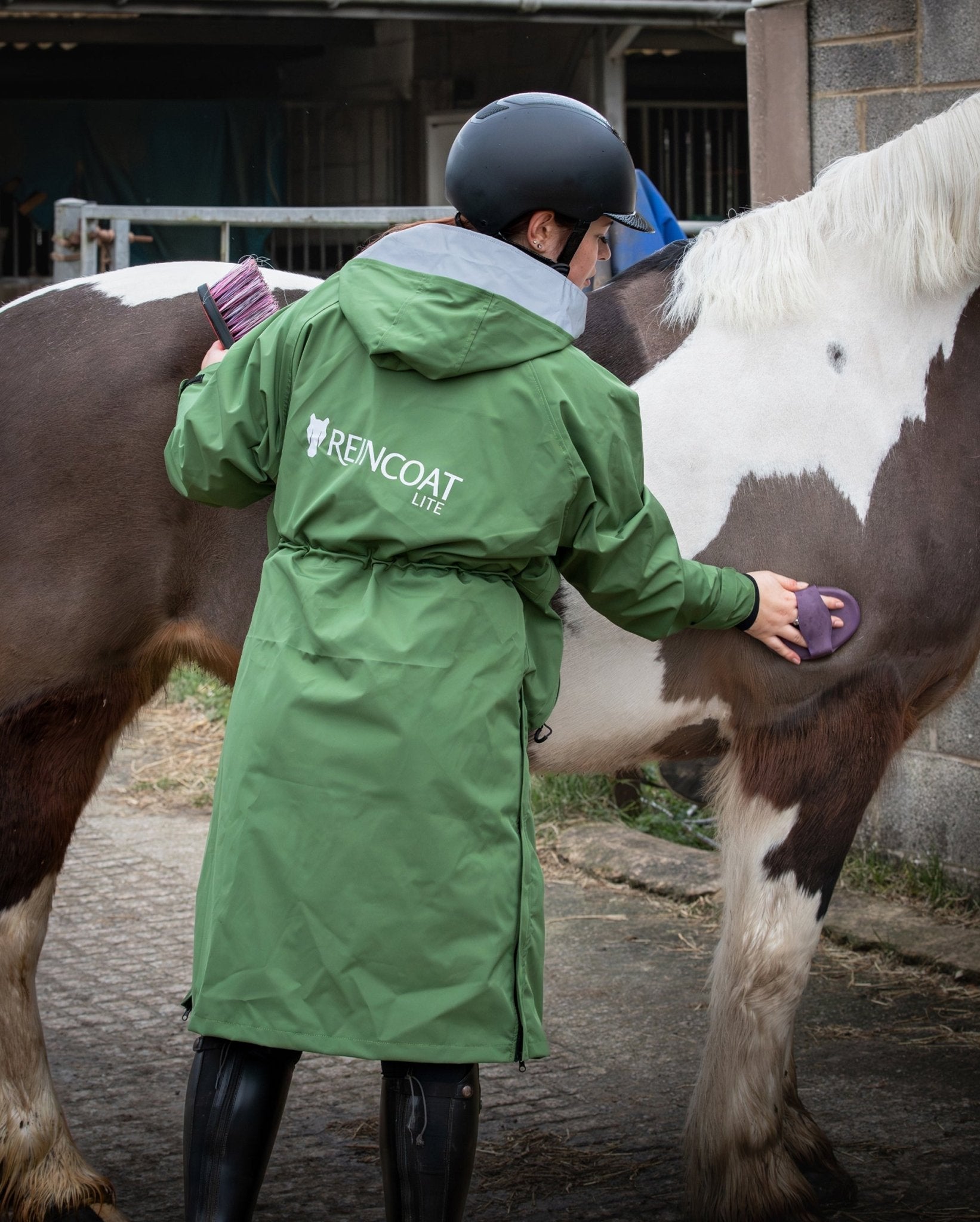 Equestrian Brushing Horse Wearing Green Reincoat Lite Riding Coat. Horse Grooming in Waterproof Coat. Reincoat Equestrian Apparel.