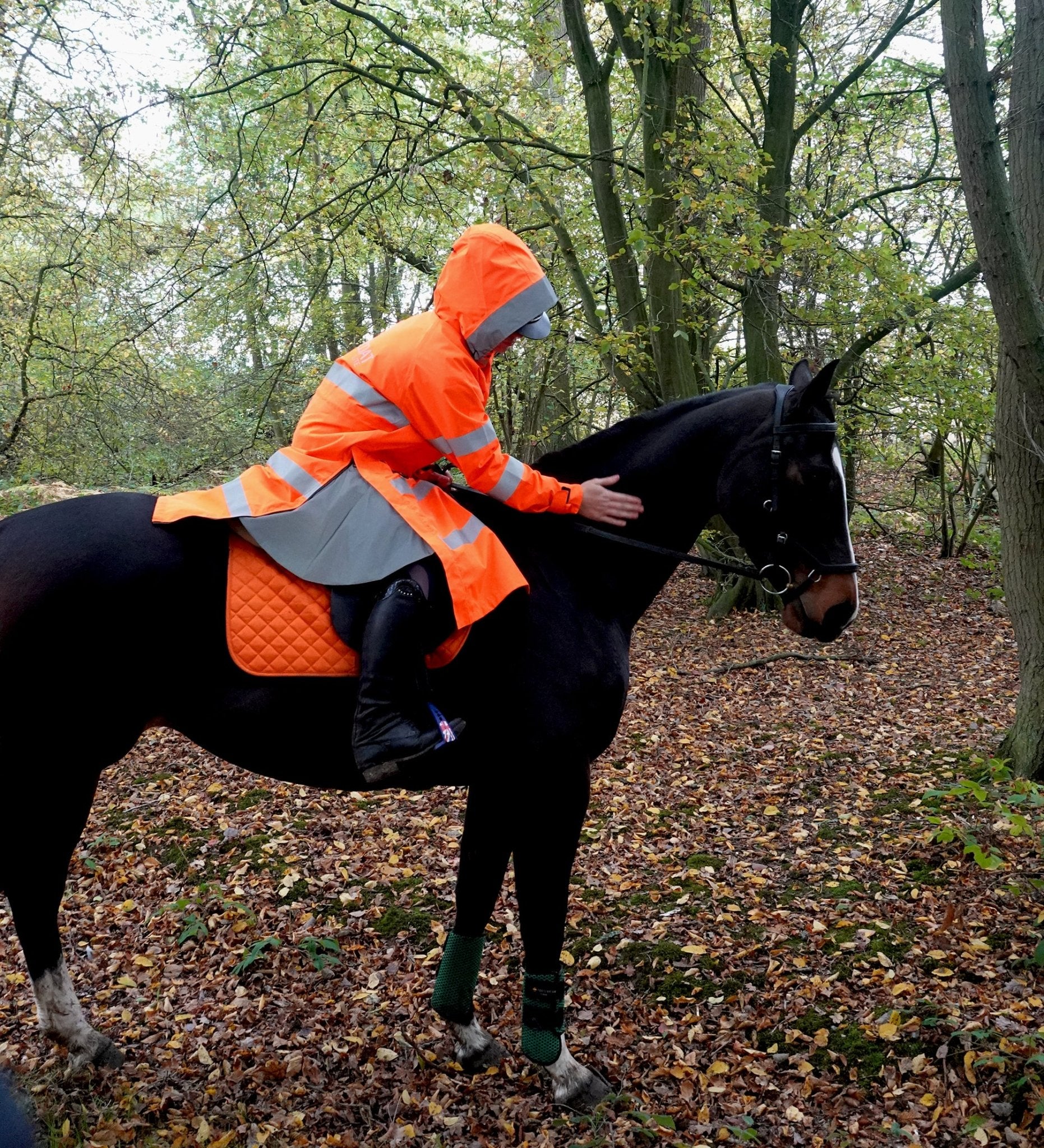 Equiflair Reincoat Lite Adult - Hi-Vis Orange: Equestrian riding safety coat for high visibility. Horseback riding.
