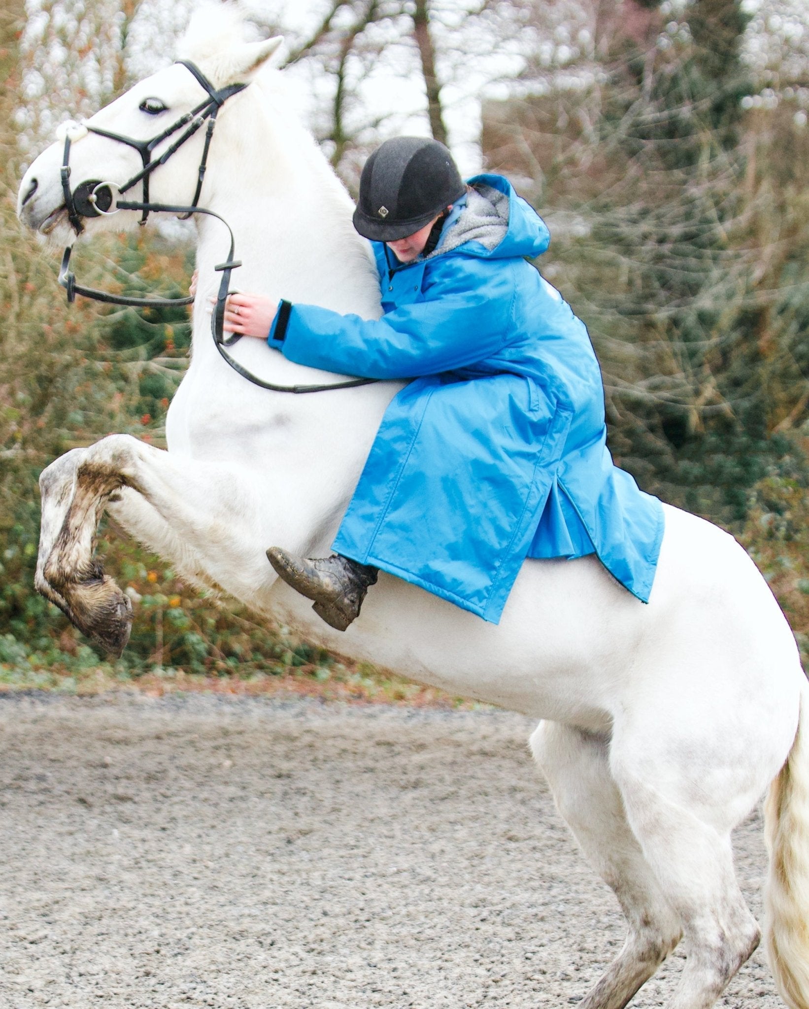 Reincoat Original Adult Blue: Waterproof horse riding jacket on white rearing horse. Equestrian apparel by Equiflair