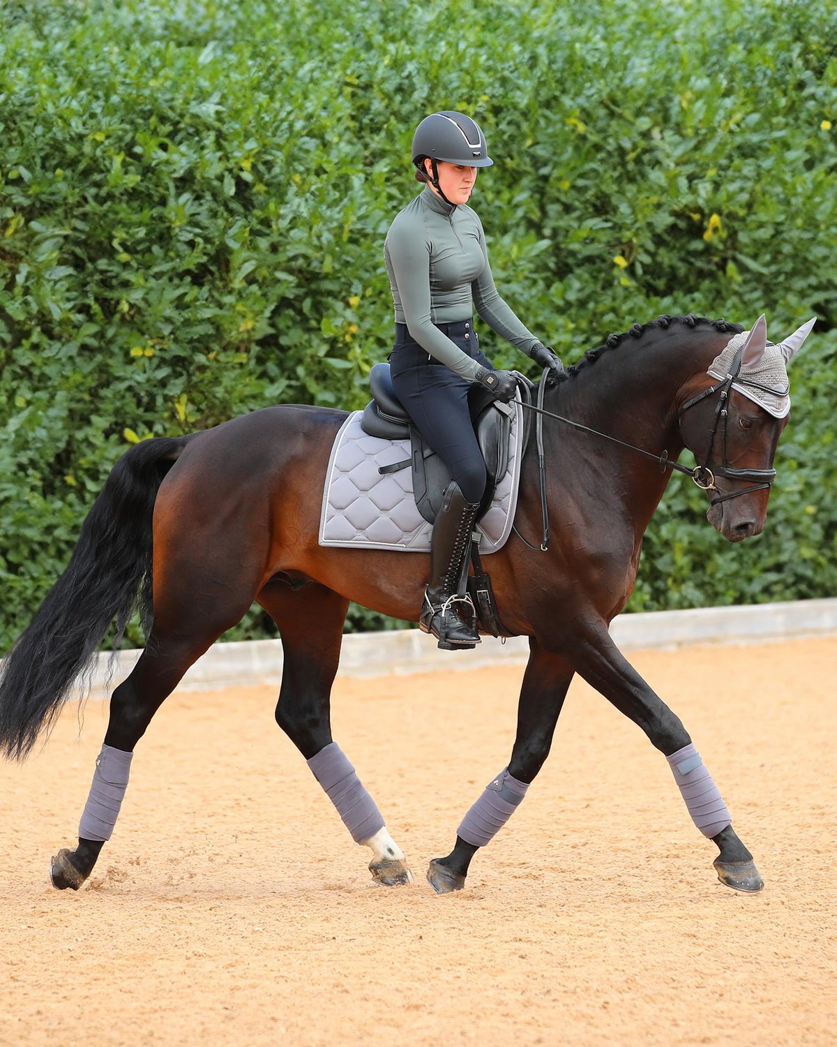 Dressage Horse & Rider with Premier Equine Saltare Grey Saddle Pad: Close Contact, Elegant Style