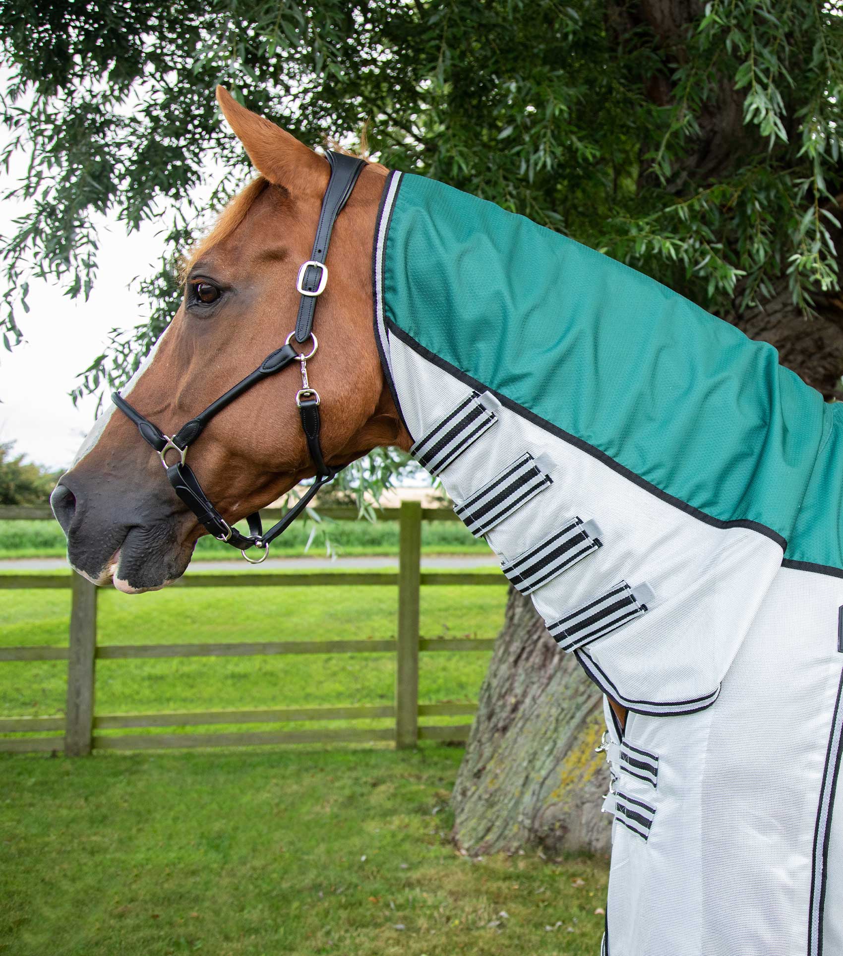 Premier Equine ShowerTex Fly Rug with Surcingles Green