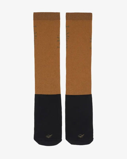 LeMieux Competition Socks 2 pack Ginger | Equiflair