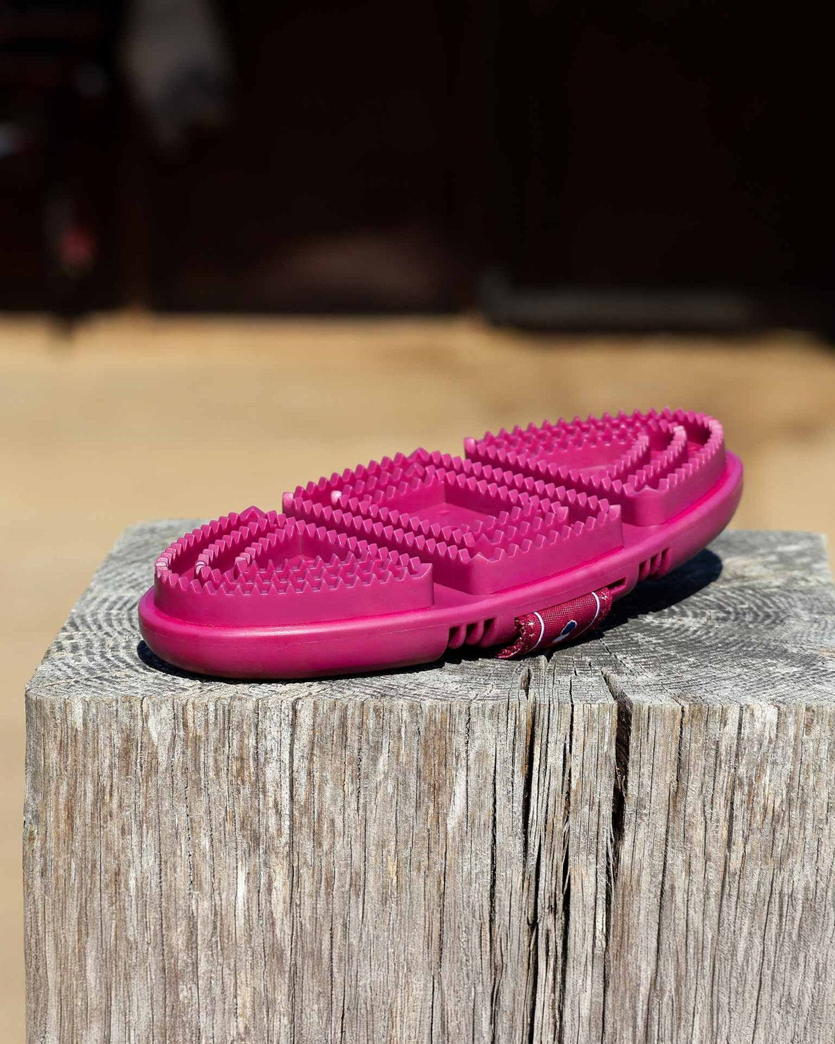 Premier Equine Flexi Curry Comb - Fuchsia Horse Grooming Tool on Wood