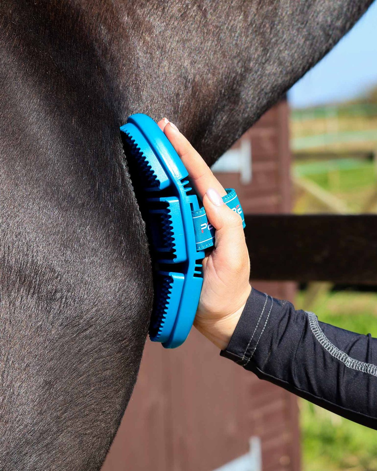 Horse Grooming with Premier Equine Soft-Touch Flexi Curry Comb (Med Blue & Peacock). Grooming tool in use.