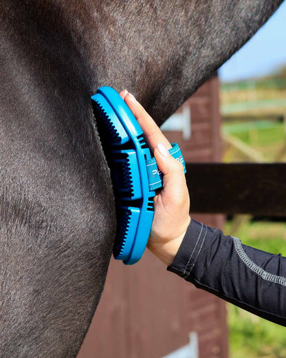 Horse Grooming with Premier Equine Soft-Touch Flexi Curry Comb (Med Blue & Peacock). Grooming tool in use.