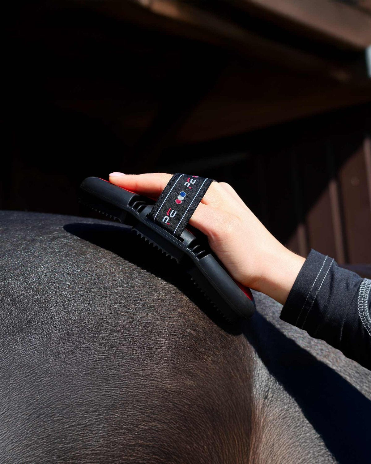 Premier Equine Flexi Curry Comb: Black & Red horse grooming tool for removing dirt and loose hair.