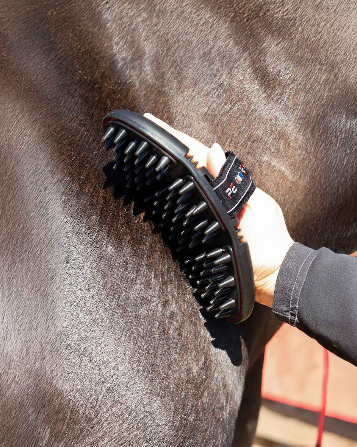 Premier Equine Massage Brush Black & Red on Horse - Equiflair Grooming Tool