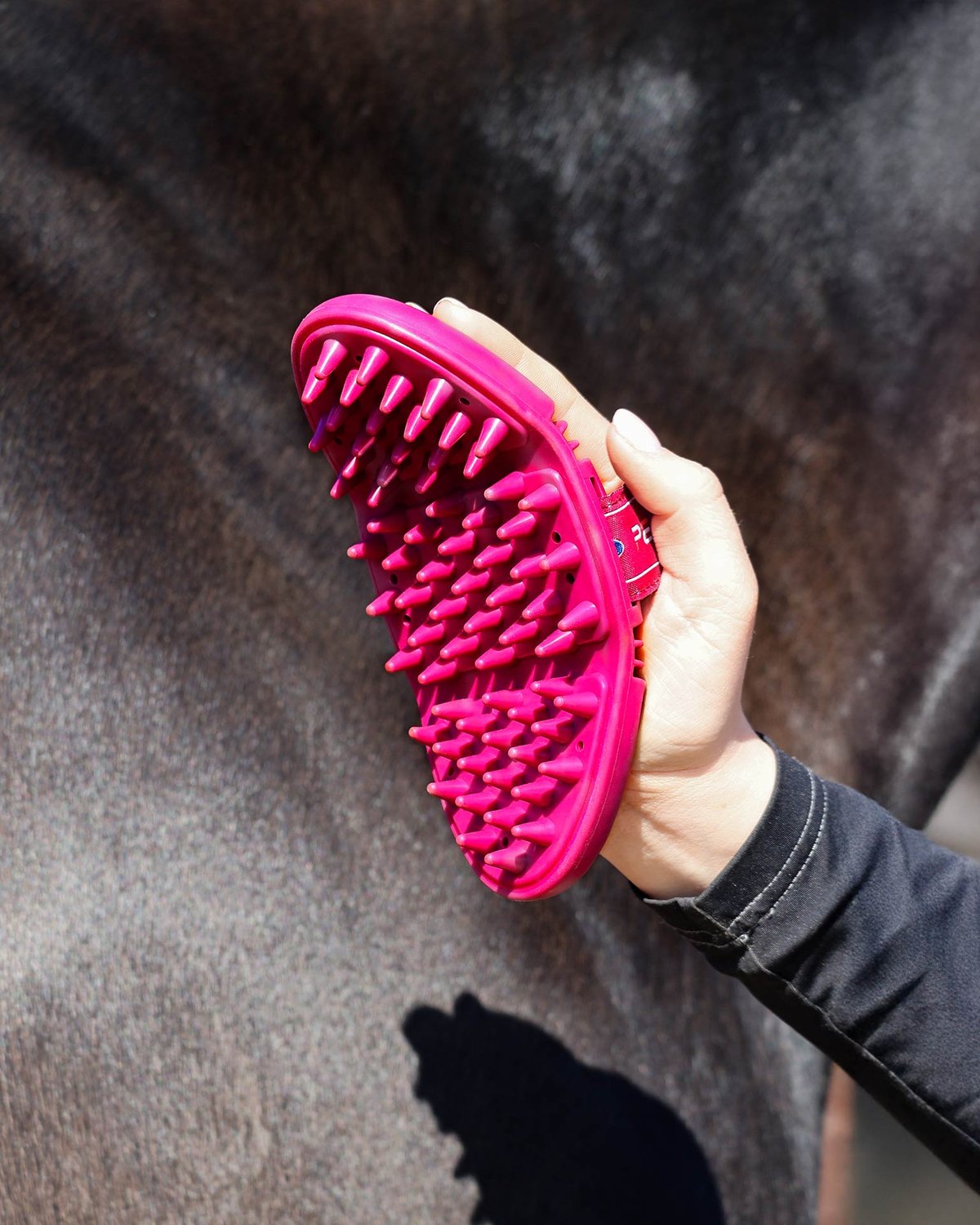 Premier Equine Flexi Massage Brush: Horse Grooming, Soft Rubber Nodules for Circulation. Wine & Fuchsia color