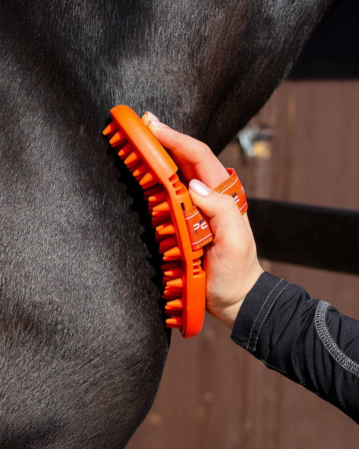 Premier Equine Orange & Amber Horse Grooming Massage Brush in Use - Equiflair