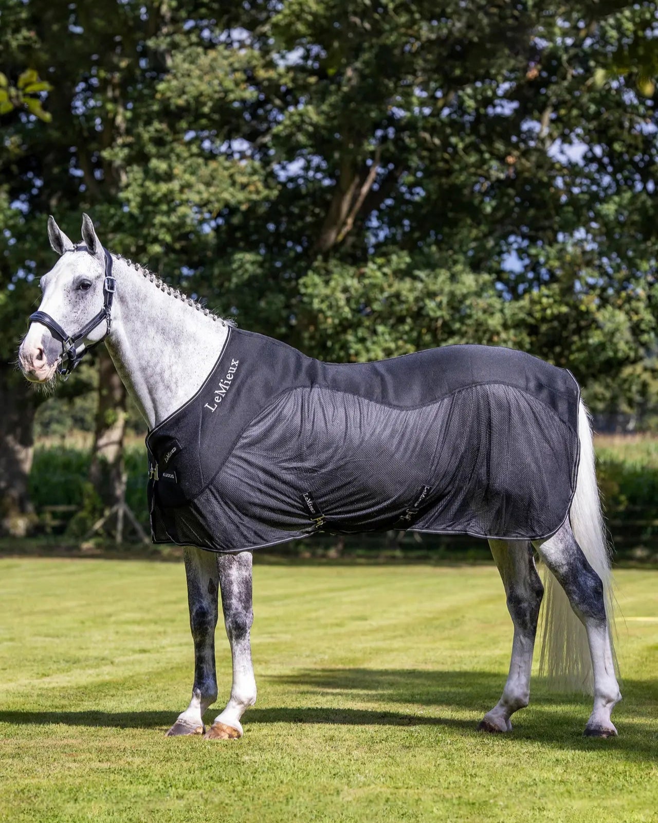 LeMieux Kudos Mesh Sports Cooler Rug in Black on Gray Horse - Cooling and Comfortable Horsewear