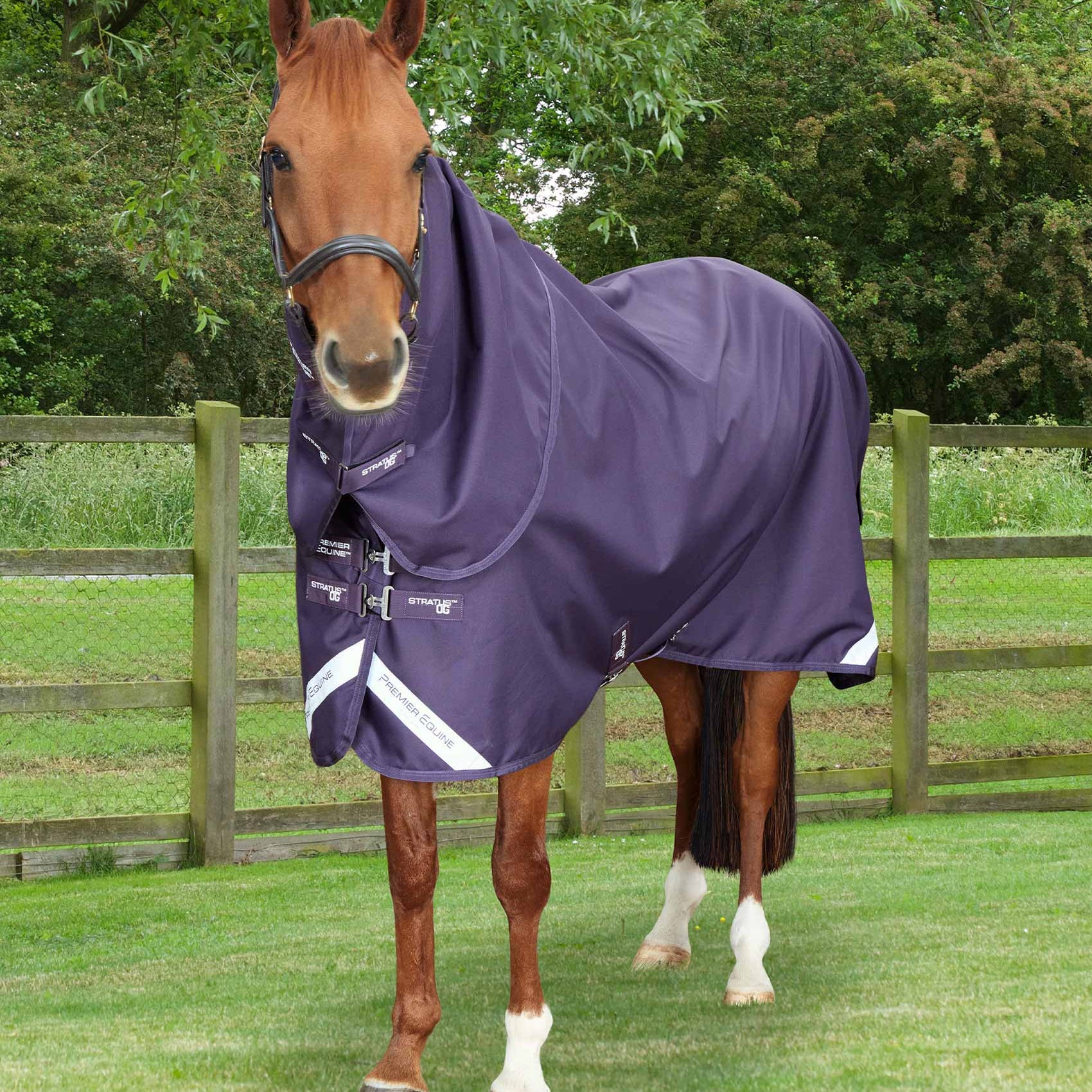 Premier Equine Stratus 1200 Series 0g Turnout Rug with Classic Neck Cover Purple