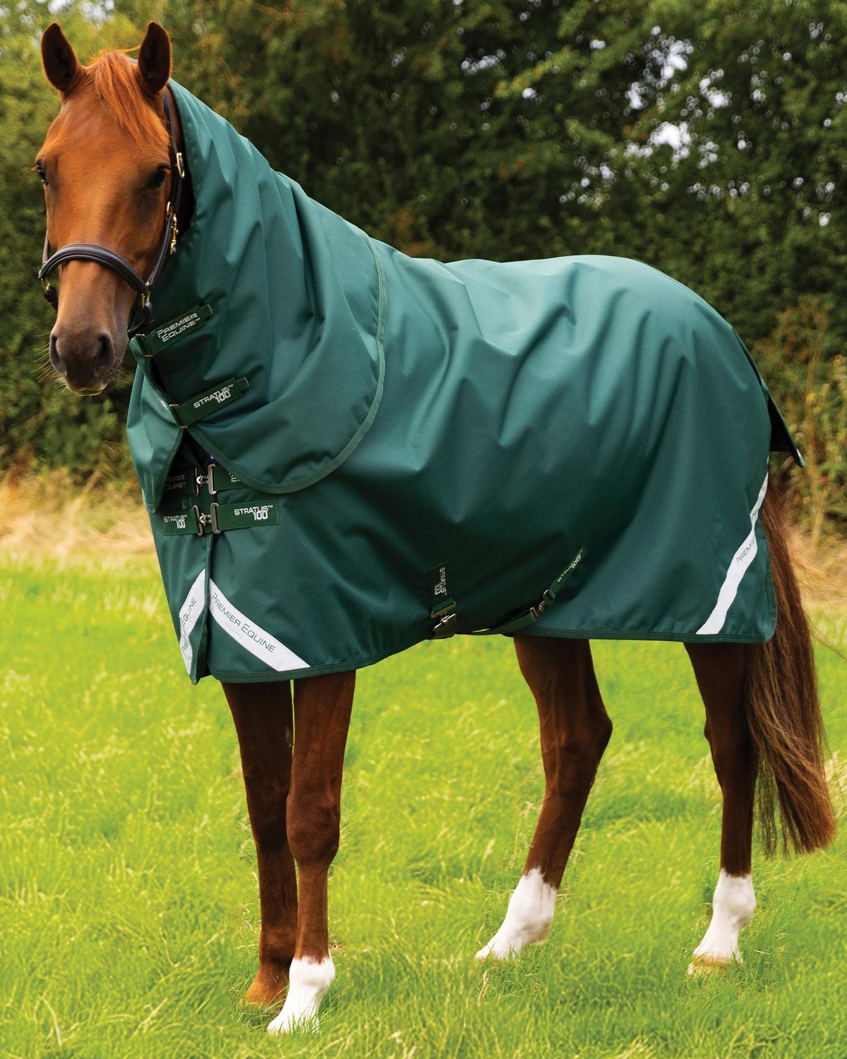 Premier Equine Stratus 1200 Series 100g Turnout Rug with Classic Neck Cover Green