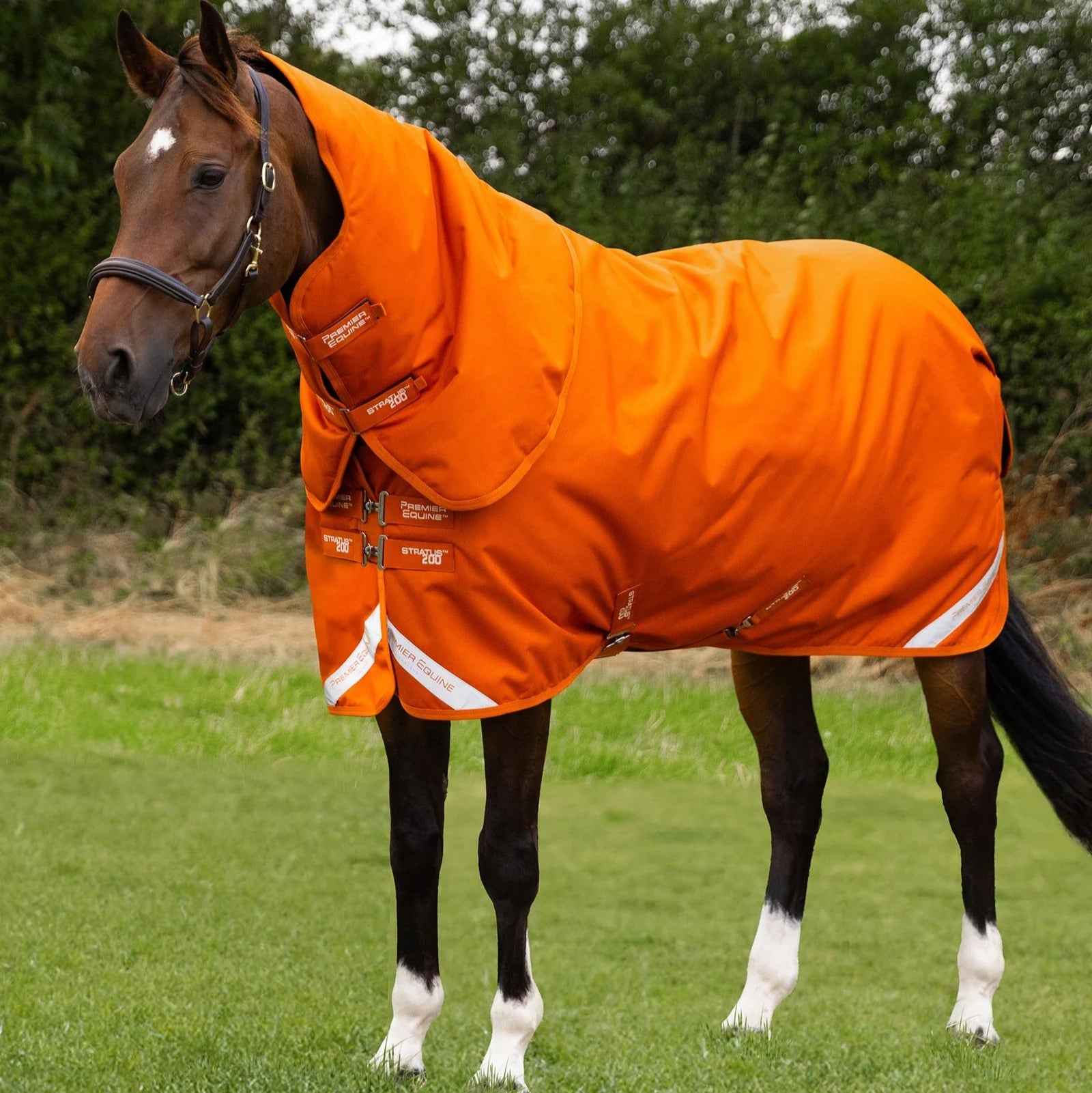 Premier Equine Stratus 1200 Series 200g Turnout Rug with Classic Neck Cover Burnt Orange