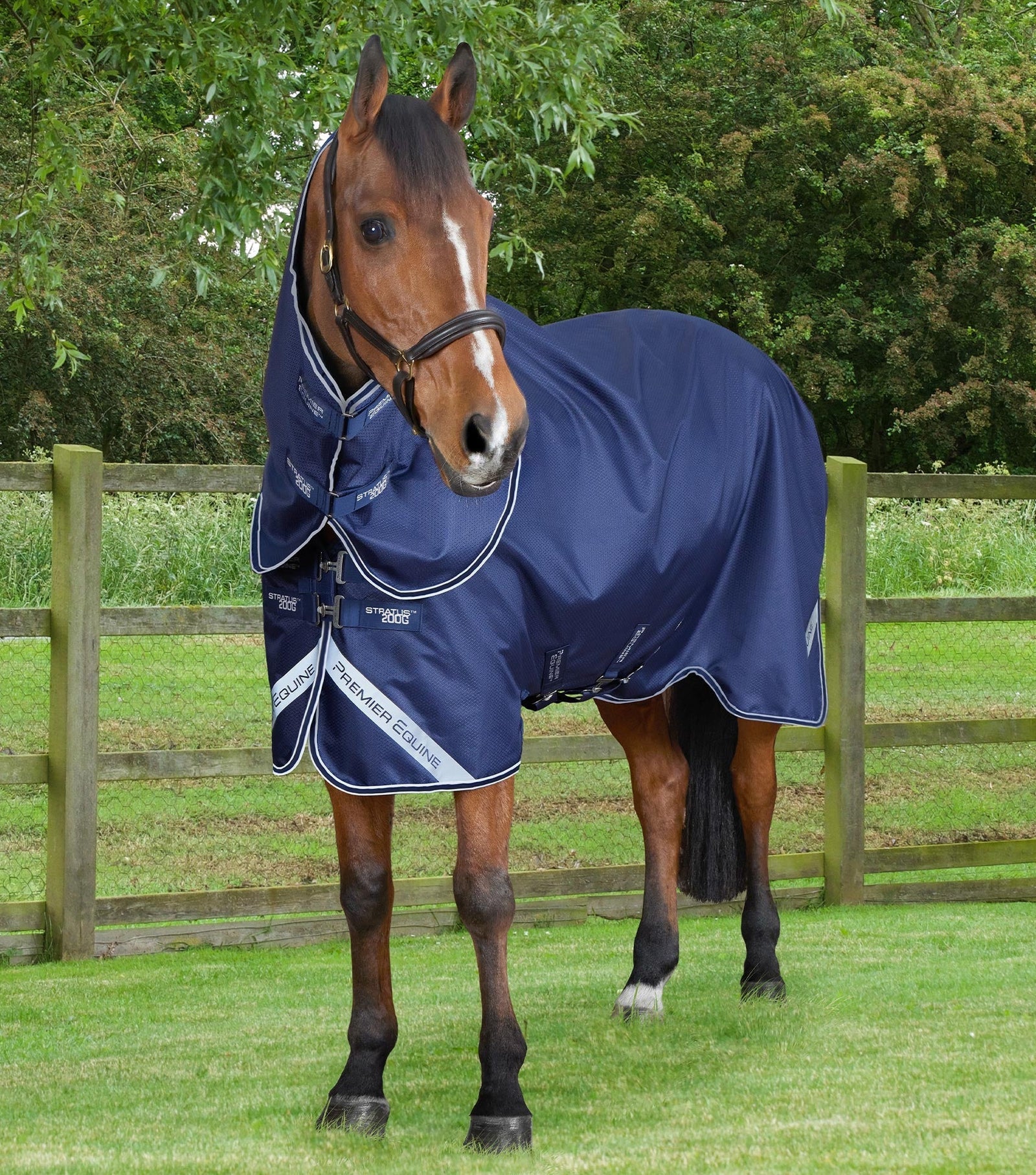 Premier Equine Stratus 200g Turnout Rug with Neck Cover - Navy Horse Rug Waterproof Breathable Medium Weight