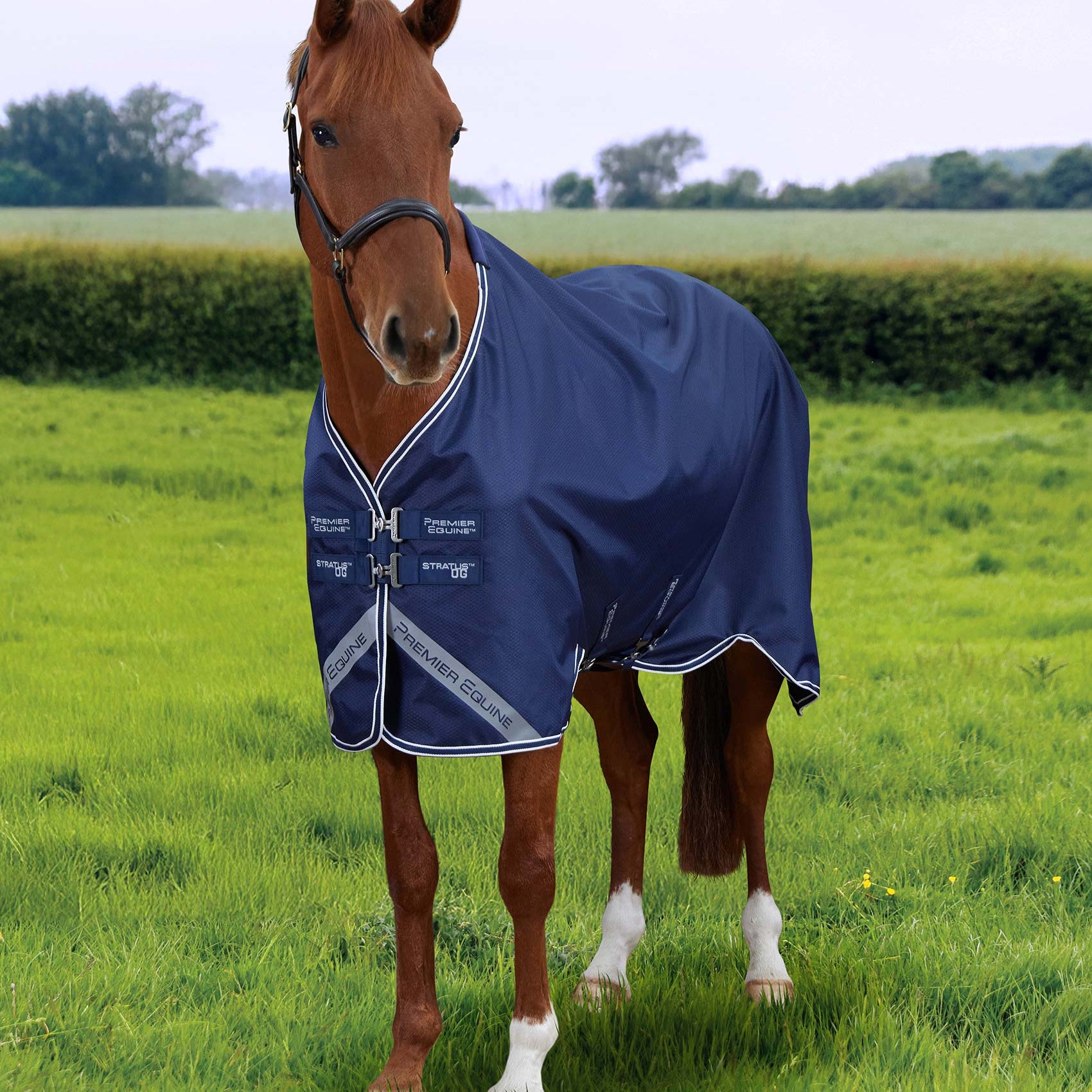 Premier Equine Stratus 0g Turnout Rug - Waterproof Horse Rug in Navy for Milder Weather | Equiflair