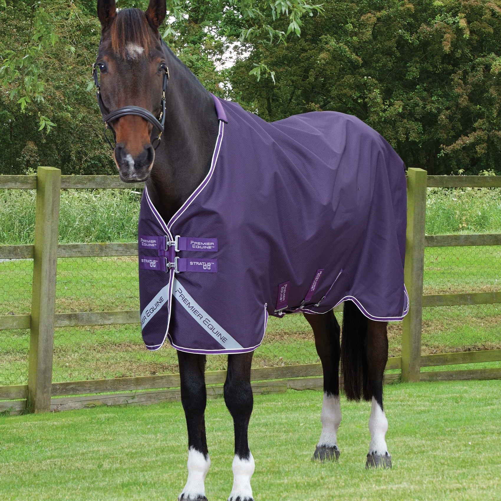 Premier Equine Stratus 600D Series 0g Original Turnout Rug Purple