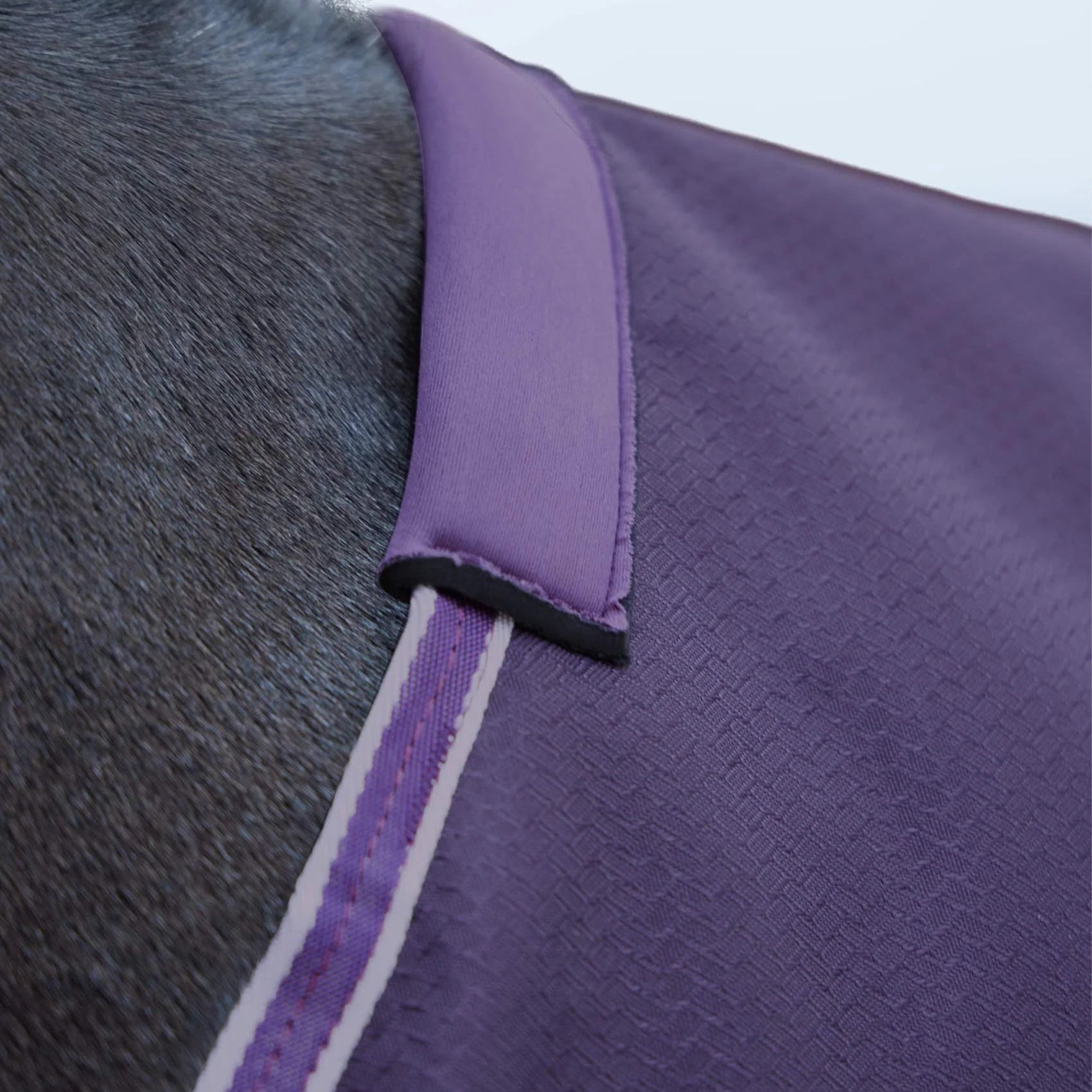 PREMIER EQUINE Stratus 600D Purple Turnout Rug - Waterproof Horse Blanket