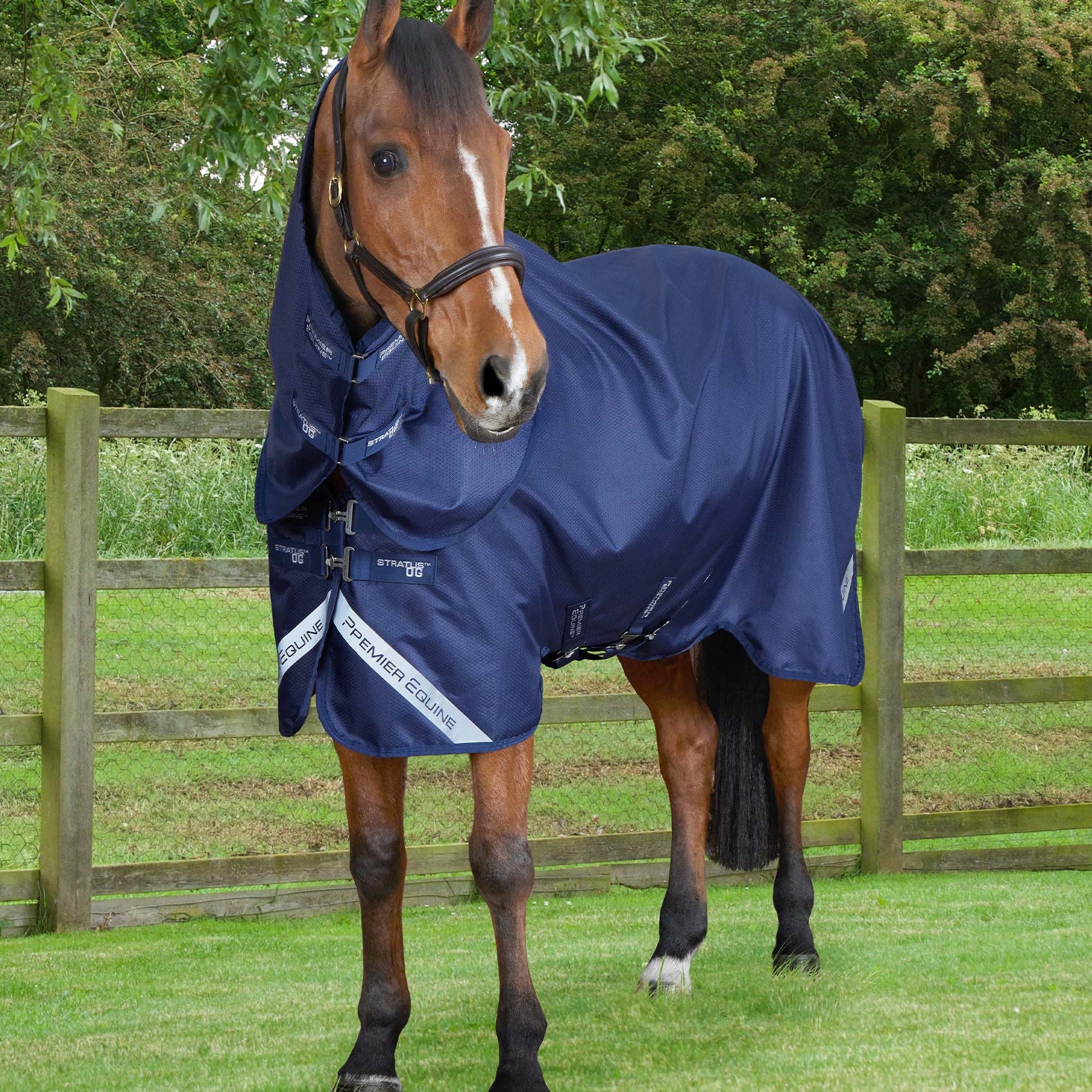Premier Equine Stratus 600D Series 0g Turnout Rug with Classic Neck Cover Navy