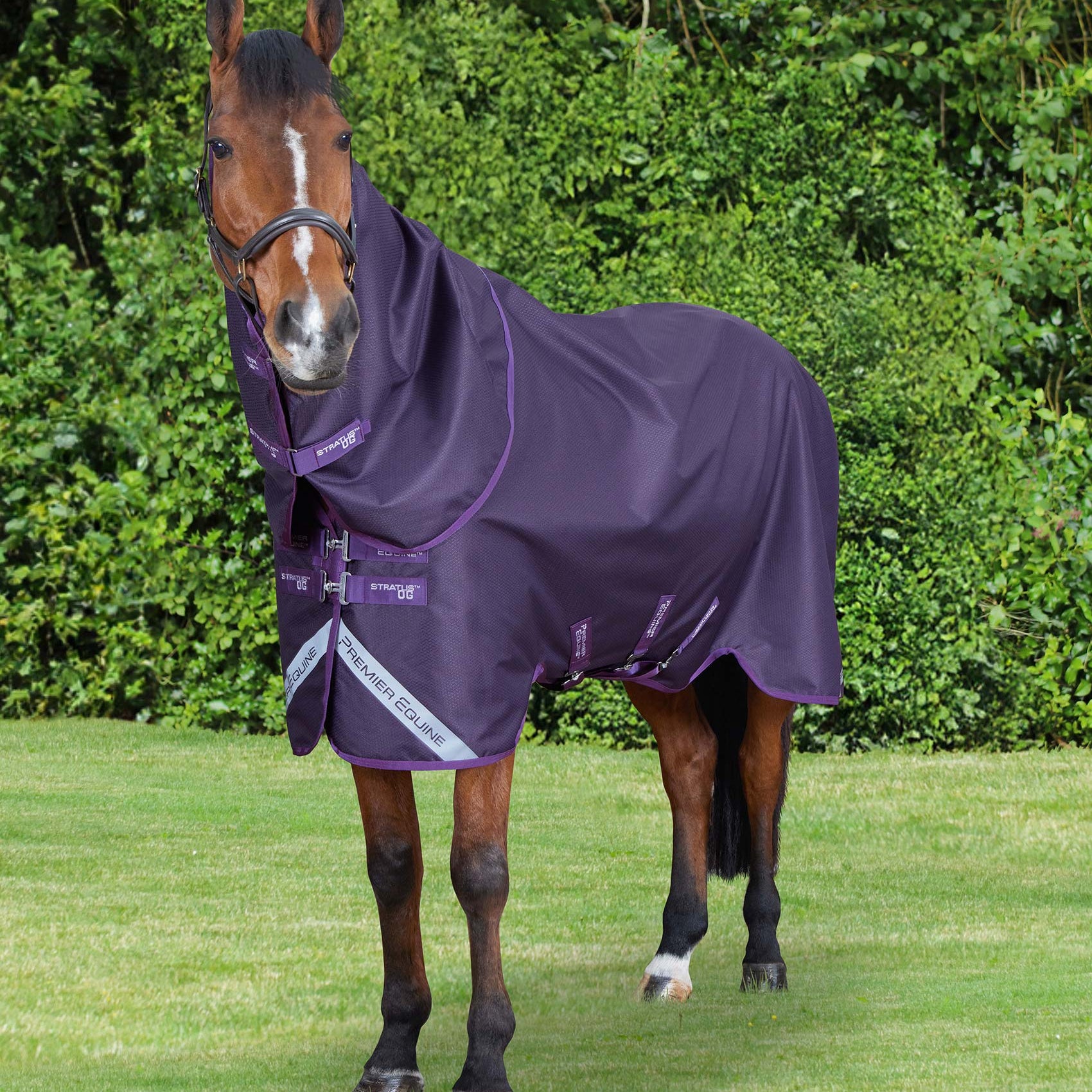 Premier Equine Stratus 600D Series 0g Turnout Rug with Classic Neck Cover Purple