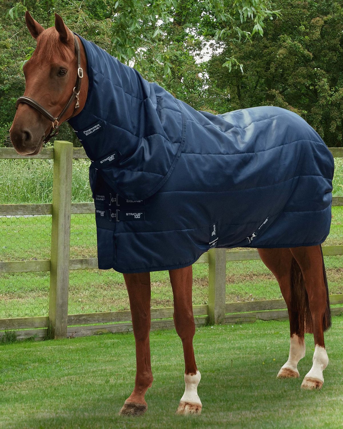 Premier Equine Horse Rug: Navy Stable Rug with Neck Cover | Equiflair