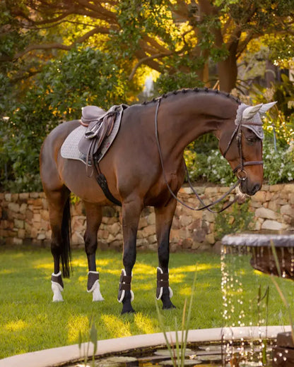 Equestrian horse with LEMIEUX COTTON CLOSE CONTACT SQUARE GREY saddle pad, for jumping and riding. #equestrian #horse #saddlepad