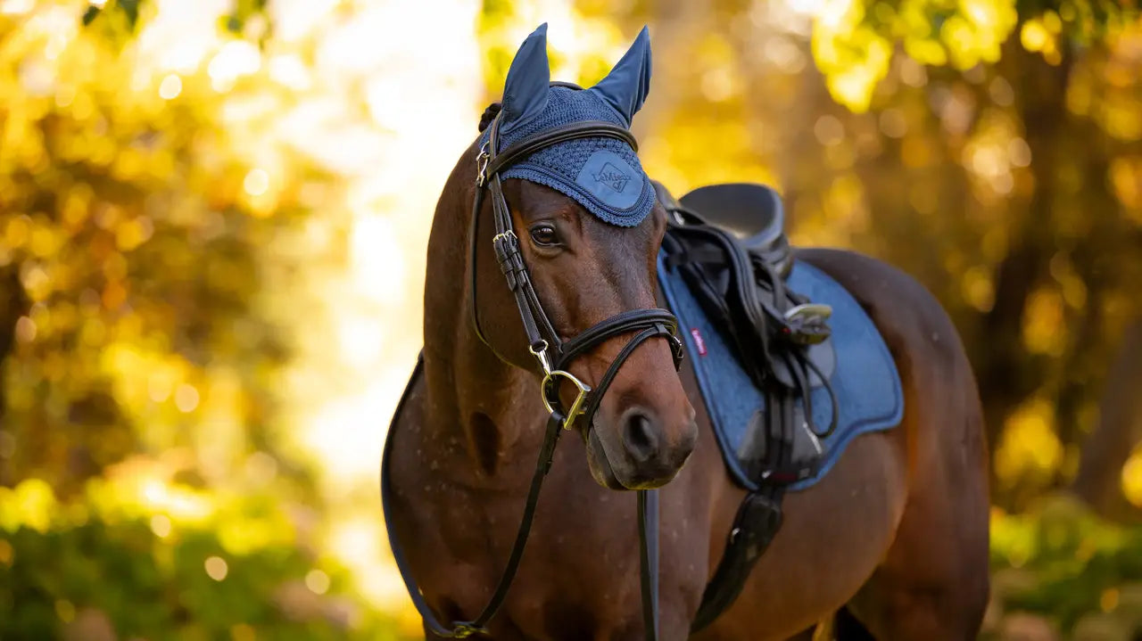 LeMieux Classic Fly Hood Atlantic