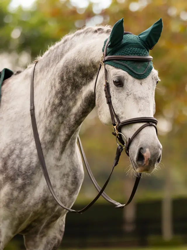 Dappled gray horse in bridle wearing LEMIEUX CLASSIC FLY HOOD SPRUCE. Equestrian fly hood close-up.