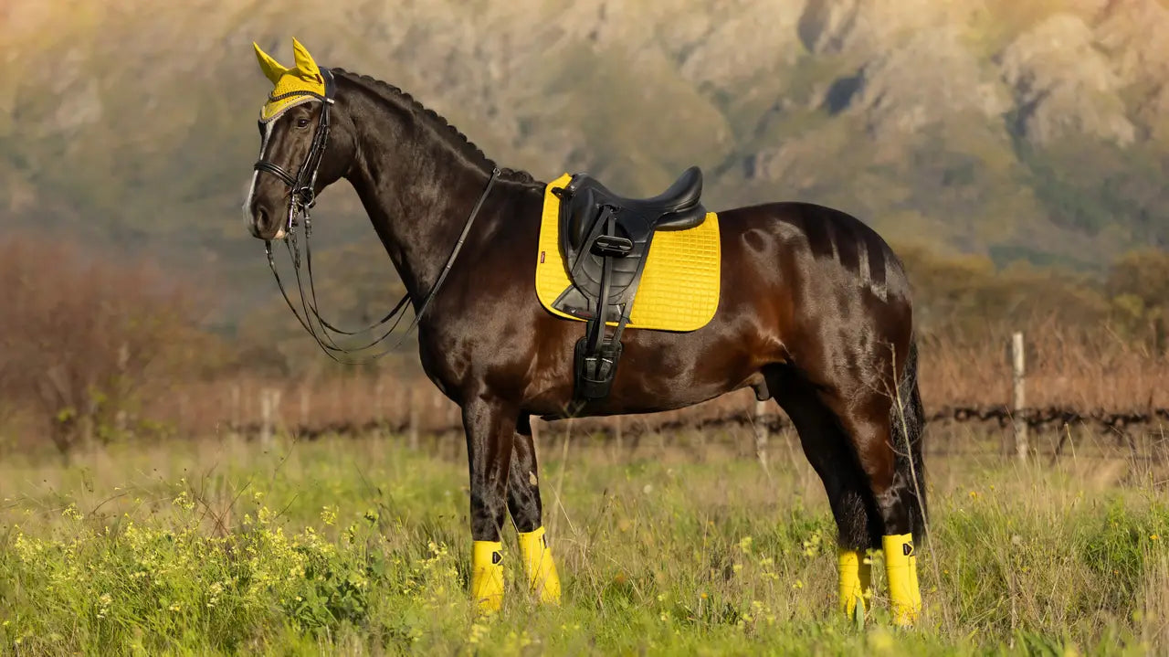 Yellow LEMIEUX SUEDE DRESSAGE SQUARE DIJON on a horse. Equiflair