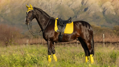 Yellow LEMIEUX SUEDE DRESSAGE SQUARE DIJON on a horse. Equiflair