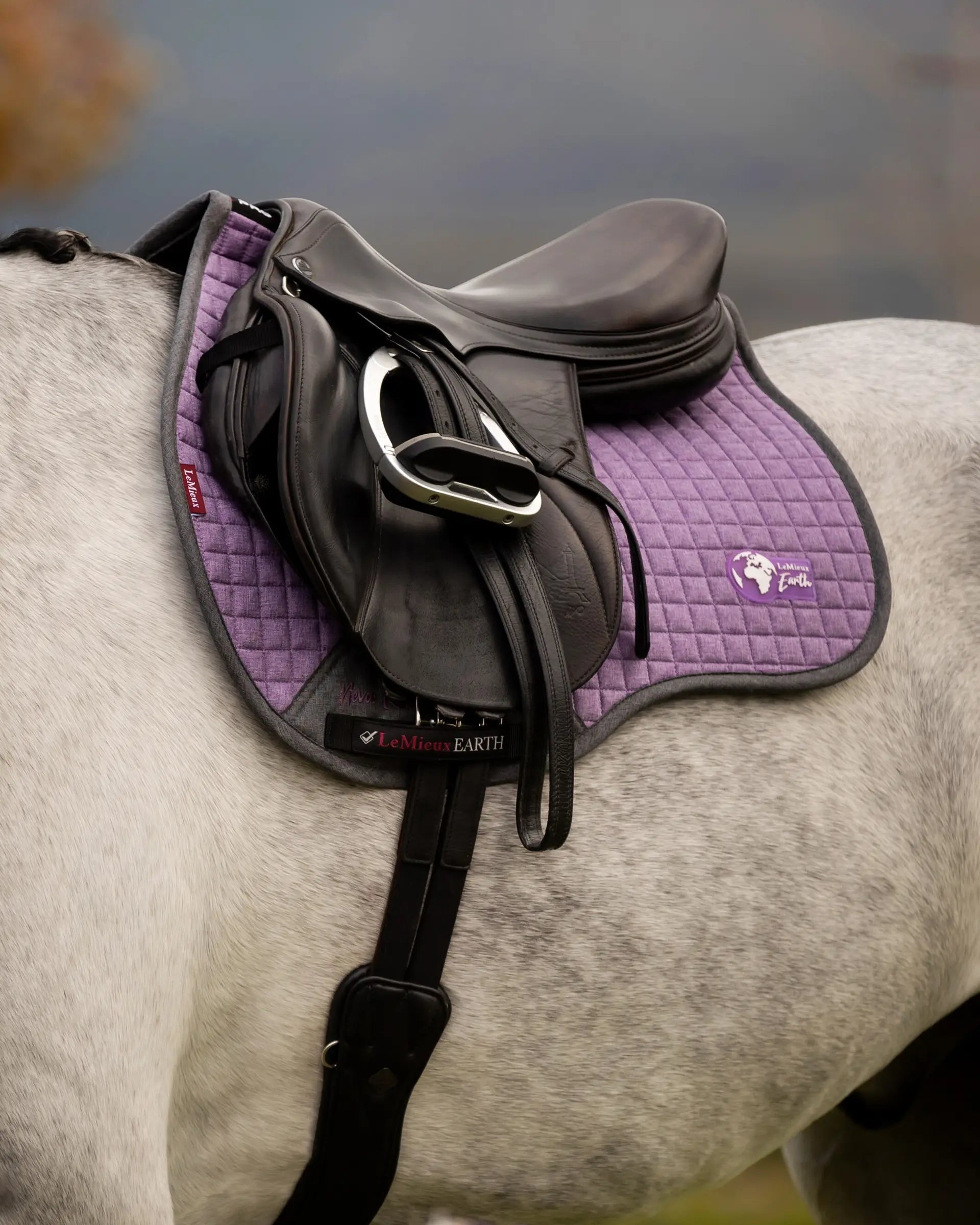 LEMIEUX EARTH GP SQUARE THISTLE Saddle Pad - Equiflair