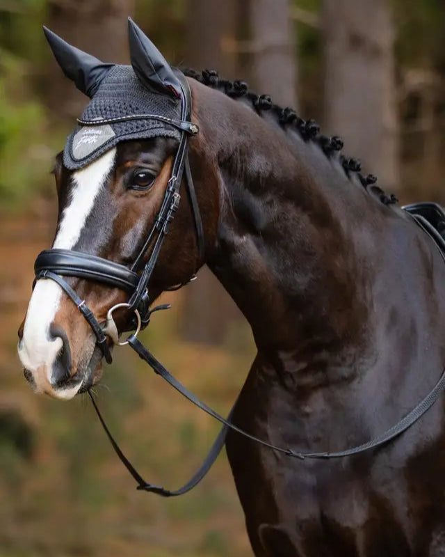Bay Horse with LeMieux Earth Fly Hood Moss Green: Sustainable Equestrian Gear by Equiflair