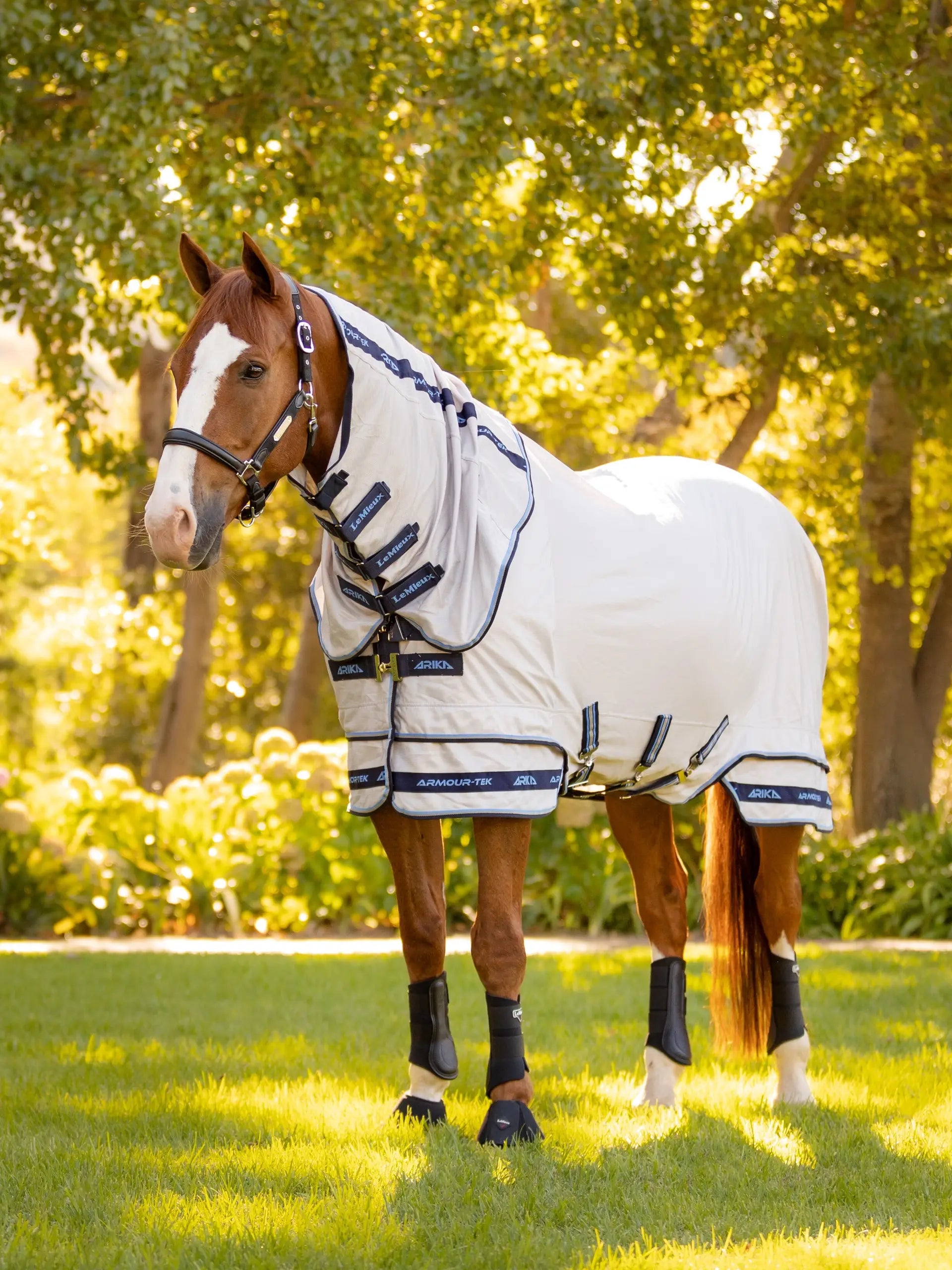 Horse wearing Lemieux Arika Armour-Tek fly rug and leg protectors in grassy field. UV Protection and Fly Defense.
