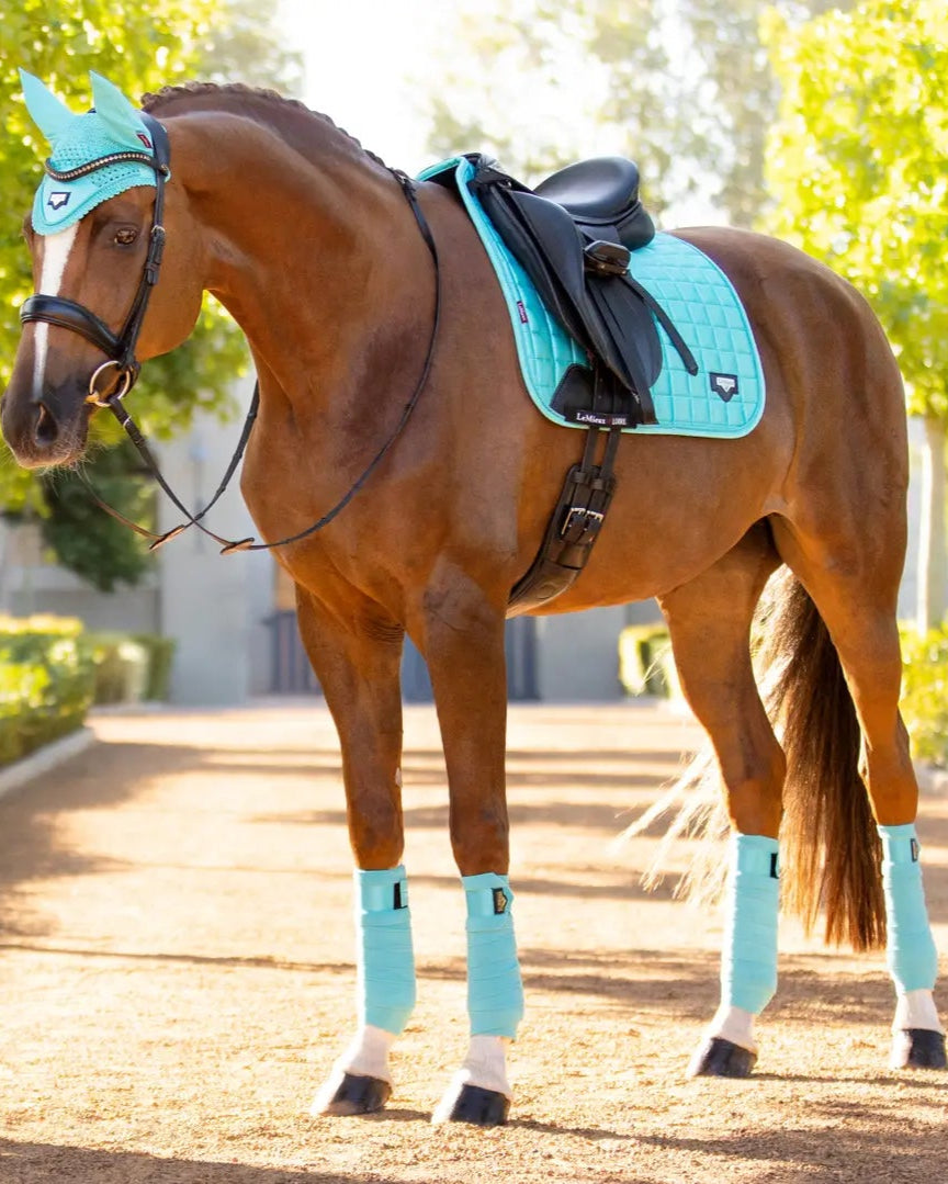LeMieux Loire Polo Bandages Azure