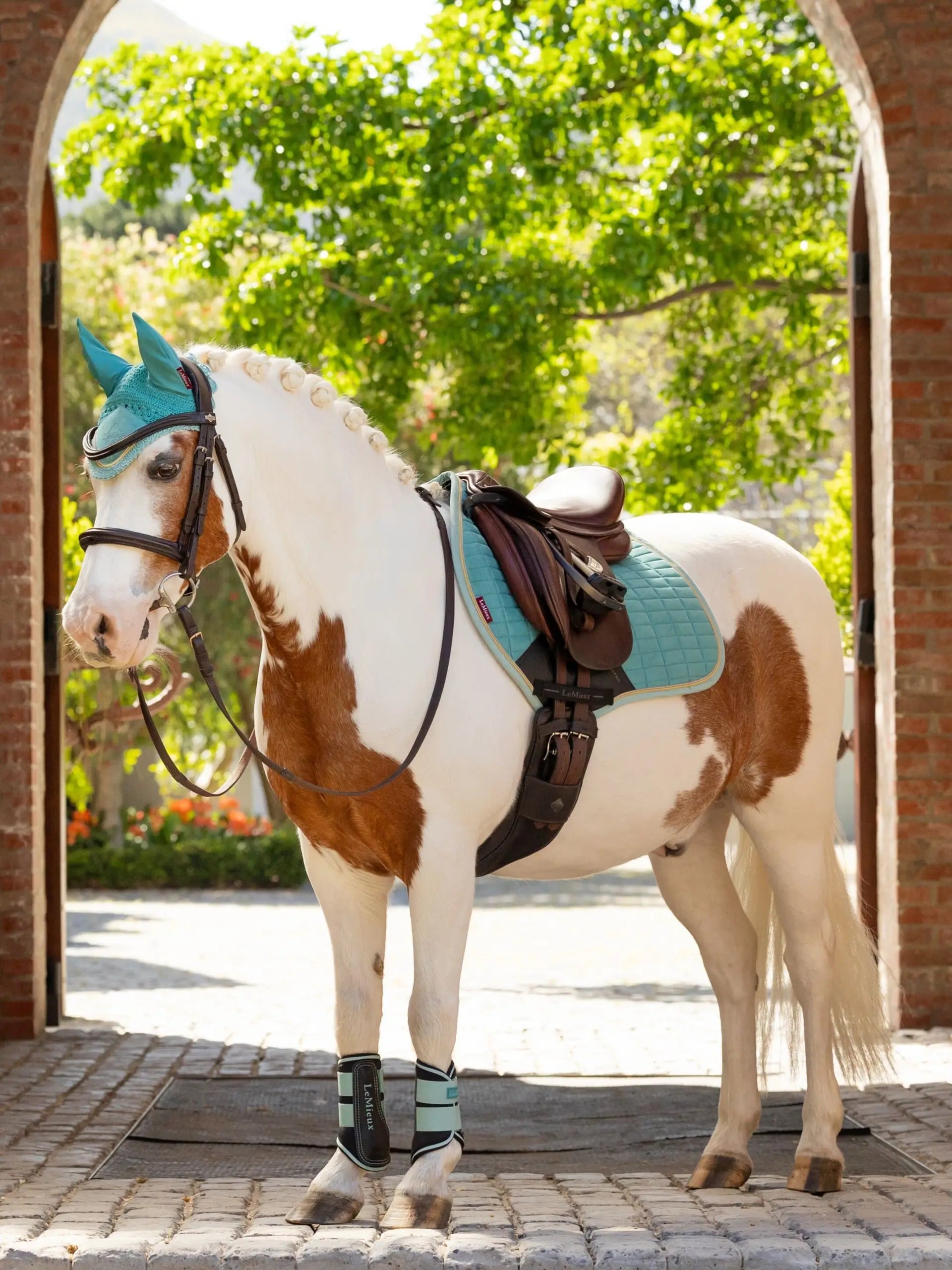 LEMIEUX MINI SUEDE CLOSE CONTACT SQUARE LAGOON Saddle Pad on Pony - Equiflair. Equestrian Horse Show Apparel & Equipment