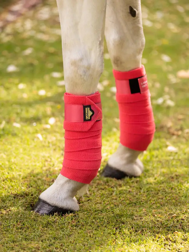 Horse Leg Wraps: LeMieux Loire Polo Bandages Papaya - Equestrian Leg Protection at Equiflair