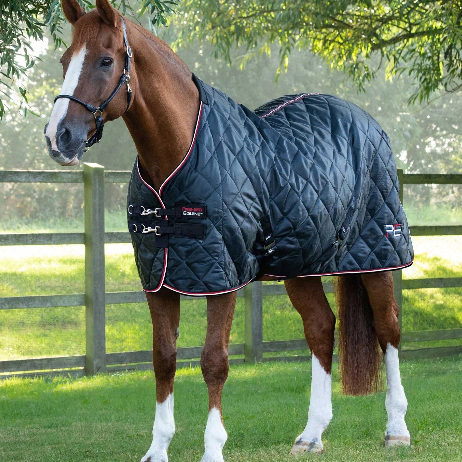 Premier Equine Tuscan Stable Rug 100G Black: Lightweight Quilted Horse Blanket