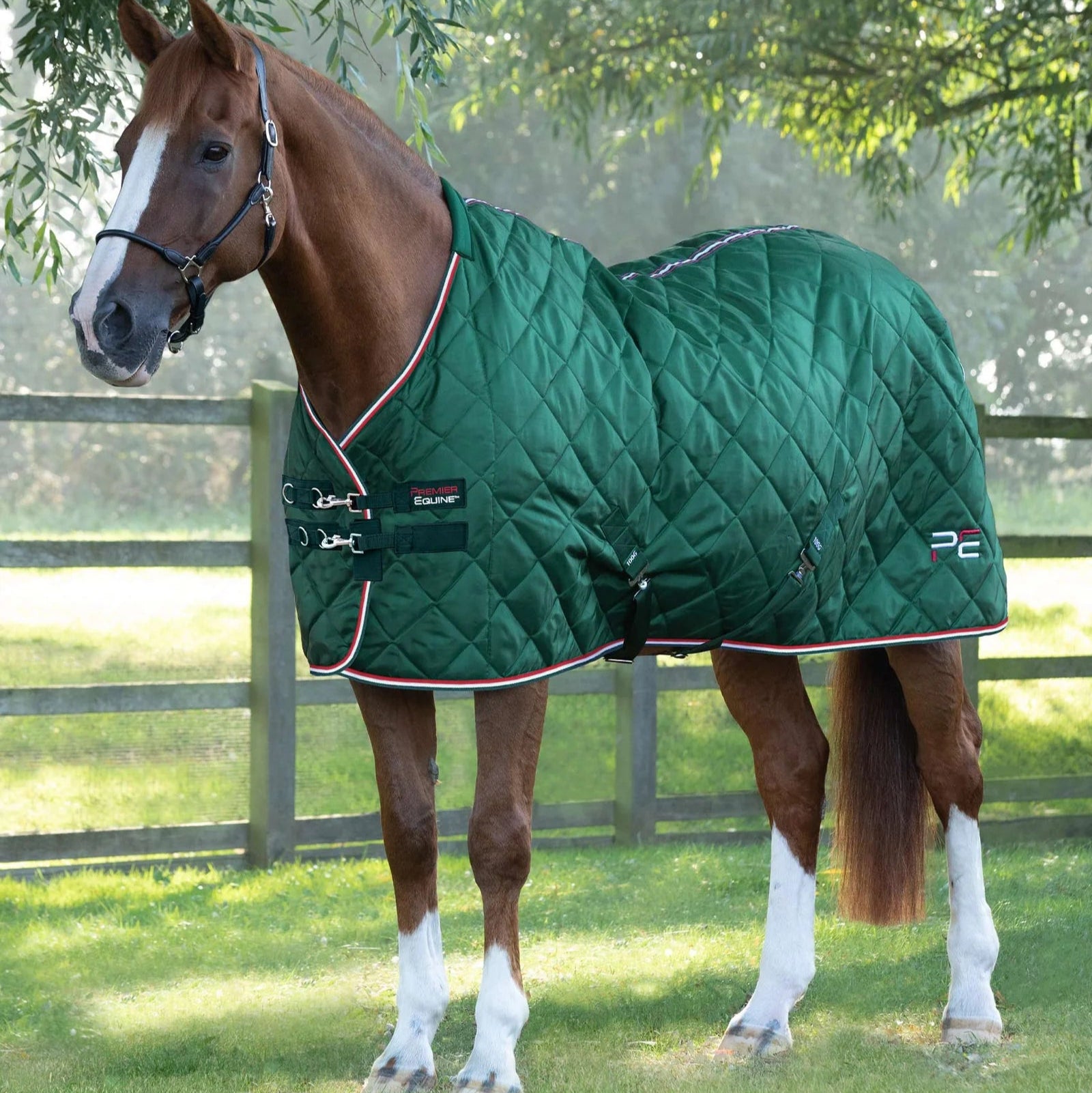 Horse wearing a Premier Equine Tuscan 100G Green Quilted Stable Rug. Lightweight horse rug for stable use.