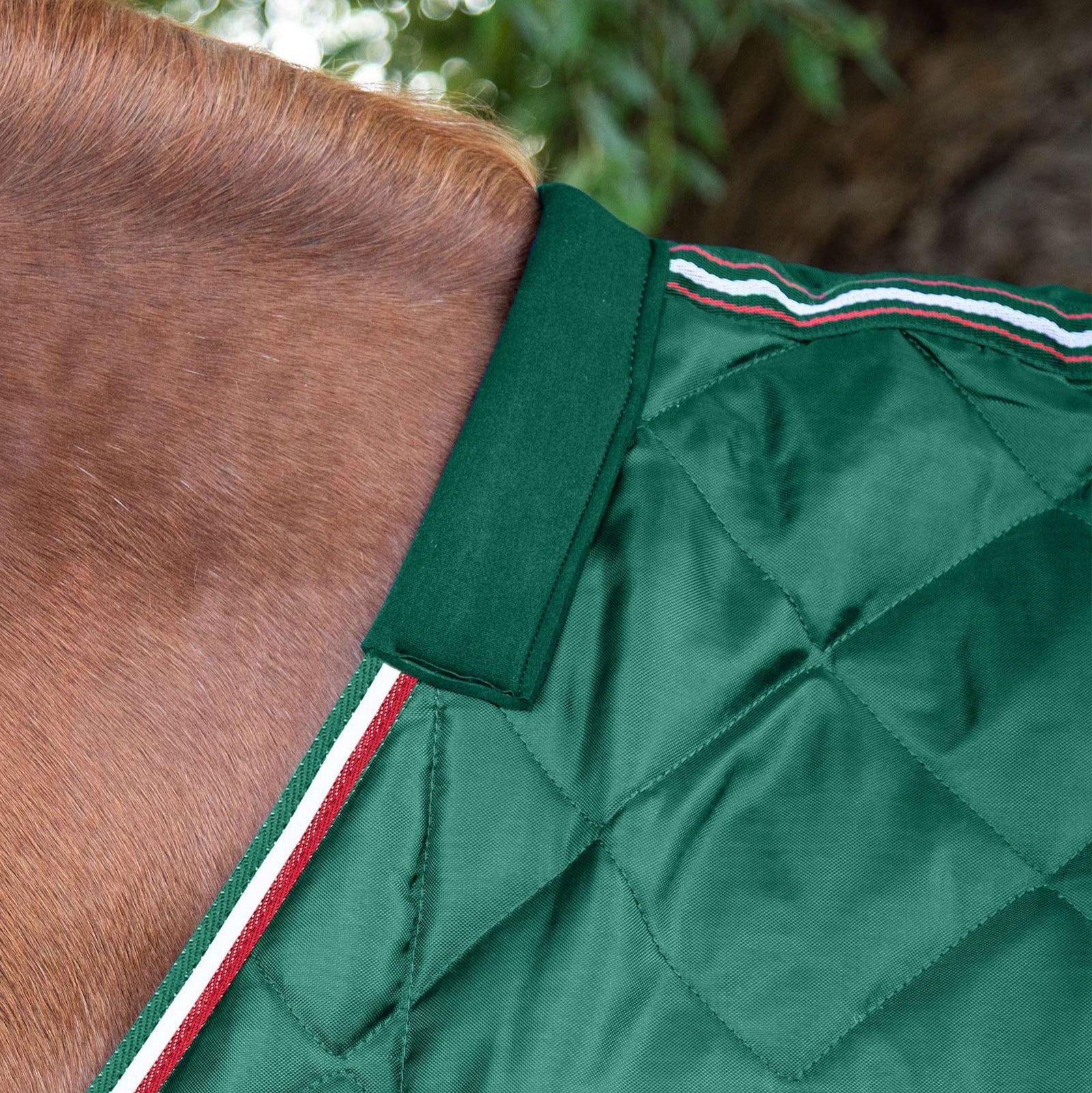 Premier Equine Tuscan Stable Rug 100g Green on Horse - Quilted Lightweight Blanket - Equiflair