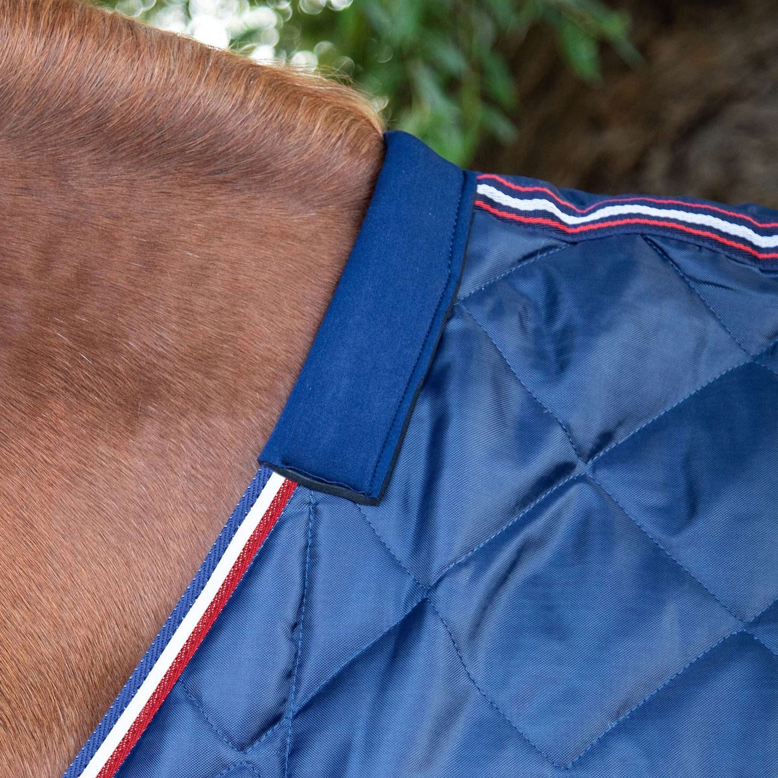 Premier Equine Tuscan Stable Rug in Navy on Horse - 100g lightweight quilted design with red & white trim.