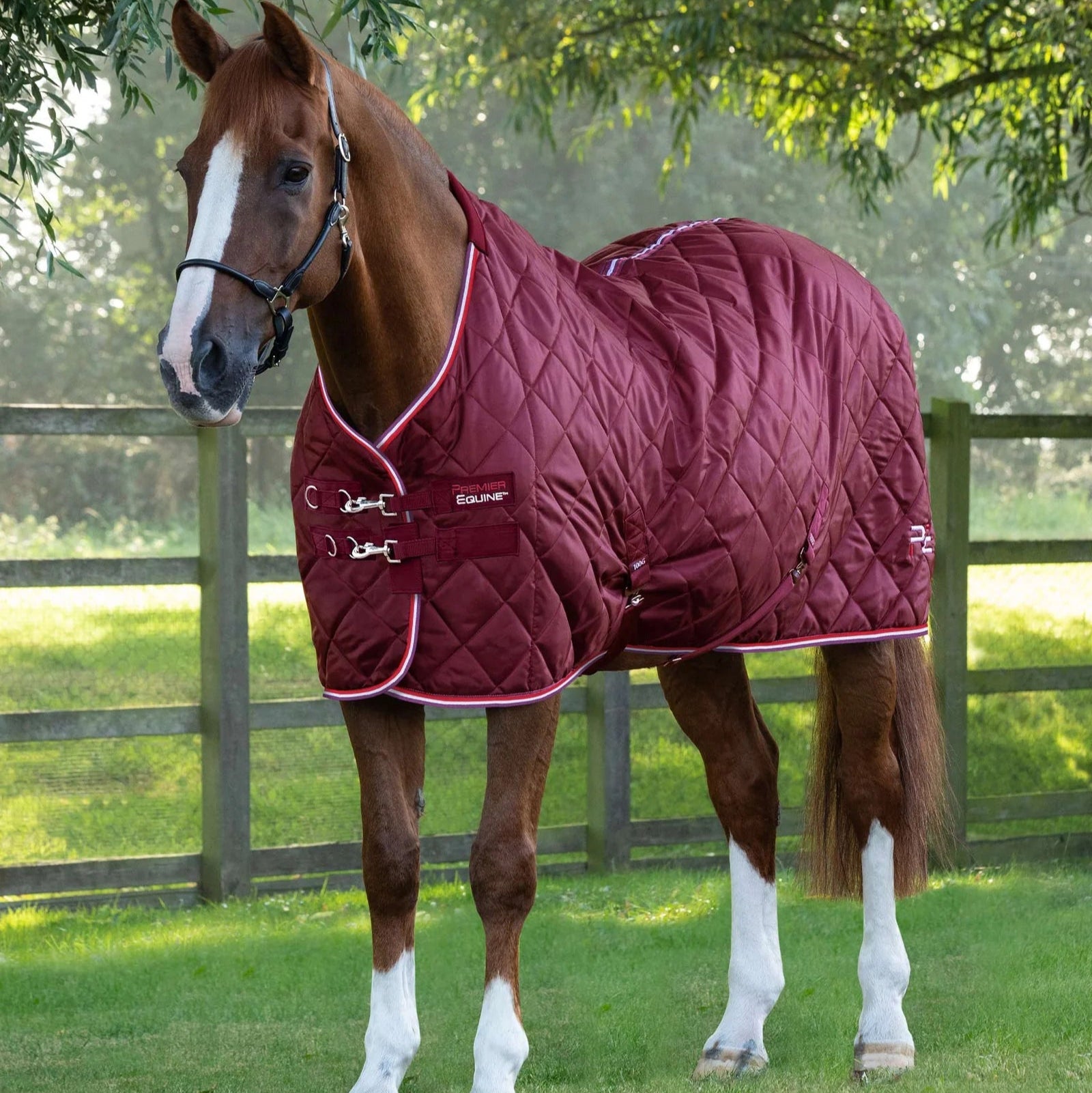 Chestnut horse wearing a burgundy Premier Equine Tuscan 100g stable rug outdoors on green grass at Equiflair.
