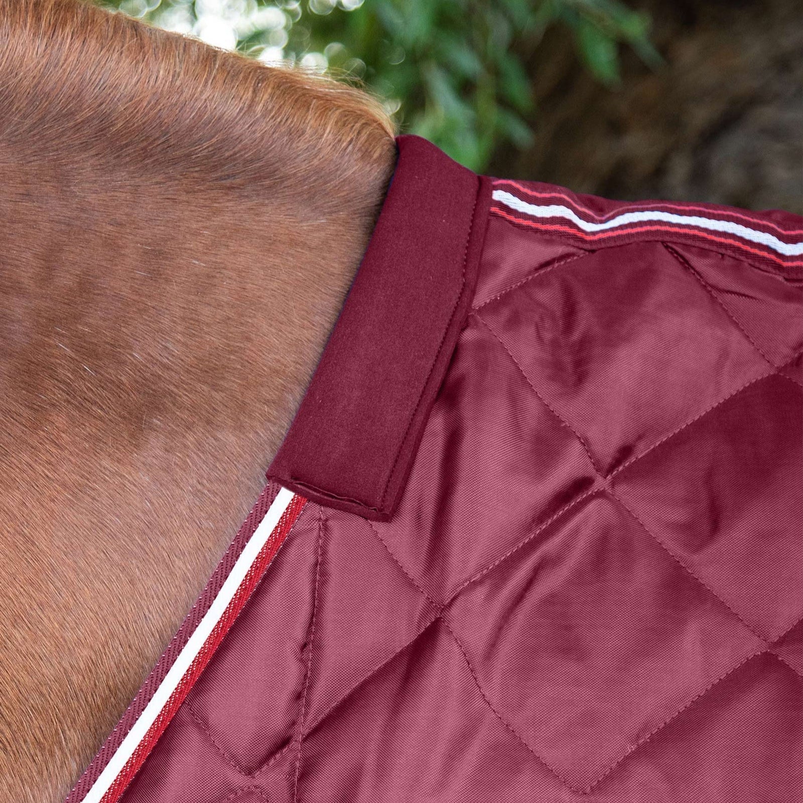 Horse Wearing Burgundy Premier Equine Stable Rug - Cozy Quilted Blanket for Warmth & Comfort