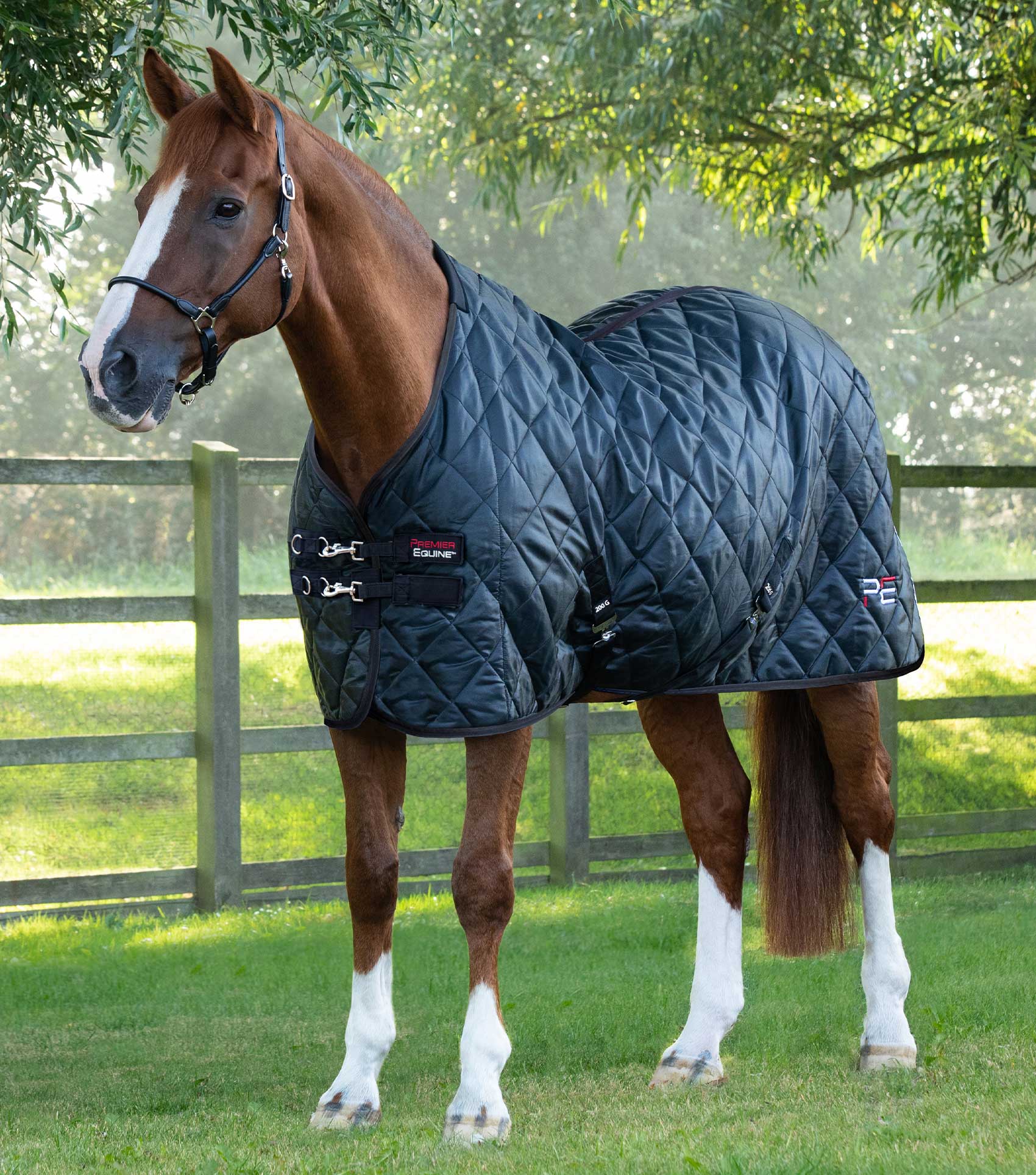 PREMIER EQUINE TUSCAN STABLE RUG 200G Black: Horse wearing a comfortable quilted stable rug for warmth & protection. Equiflair.