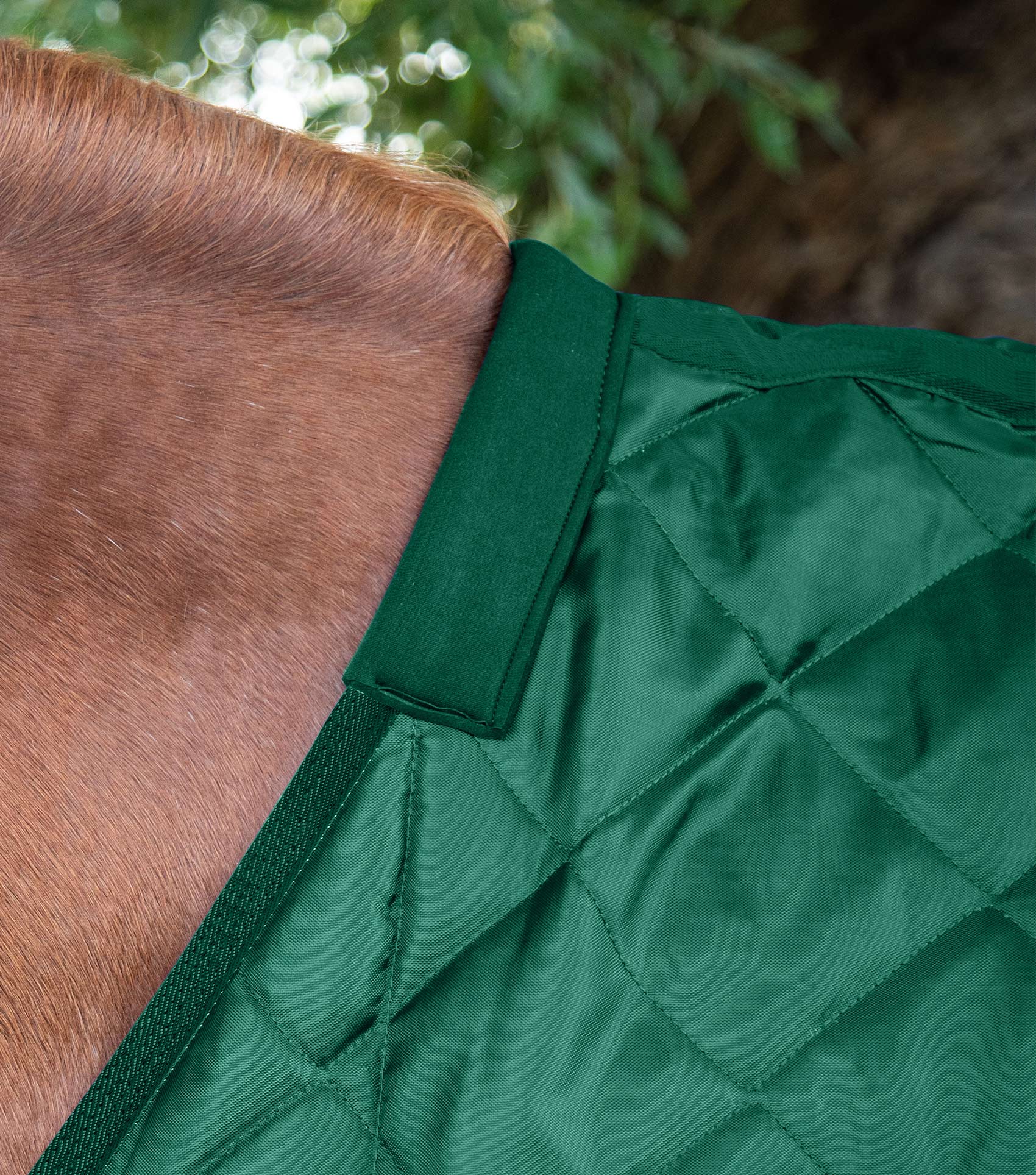 Premier Equine Tuscan 200g Green Stable Rug on Horse | Quilted Horse Blanket for Warmth & Comfort